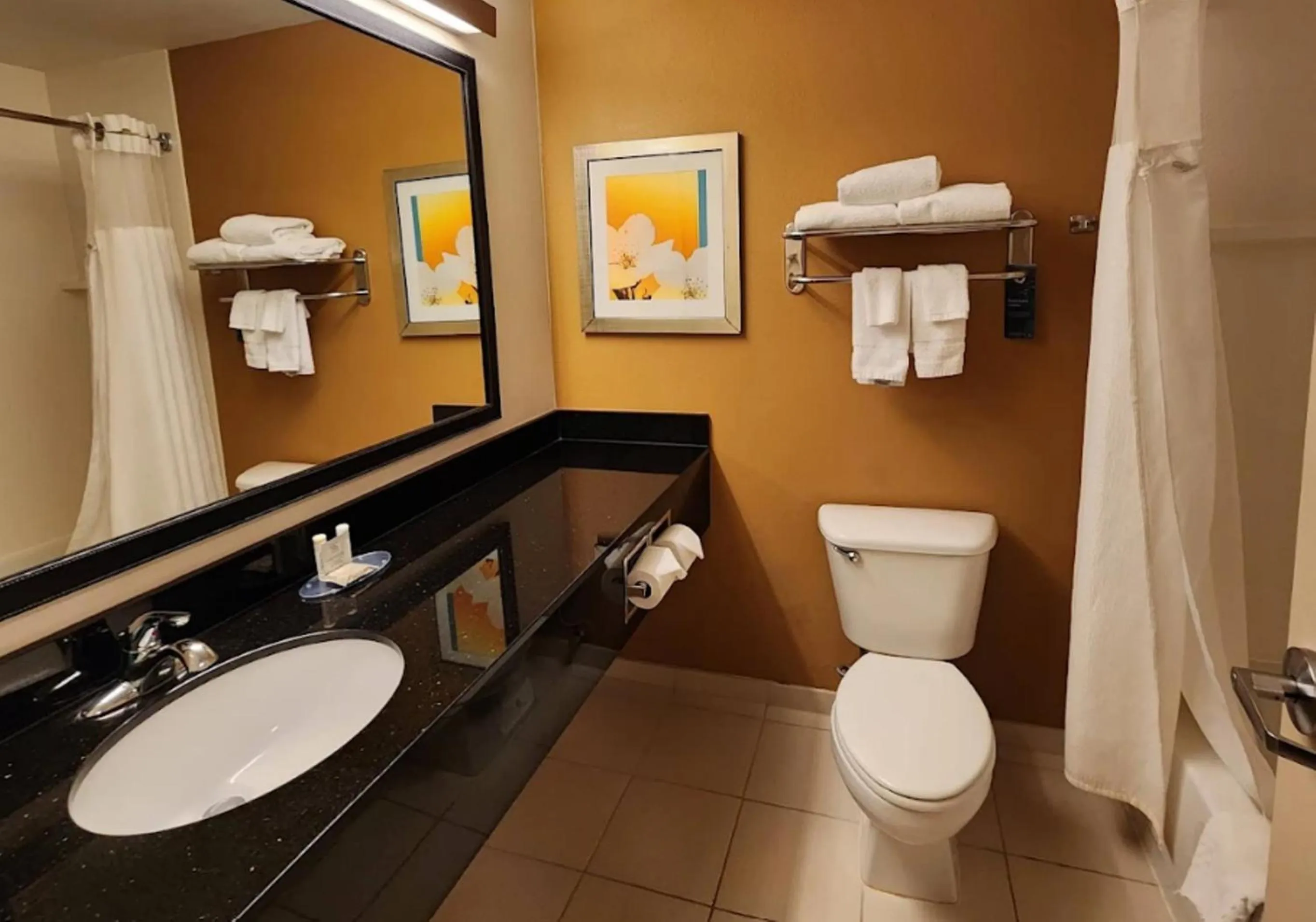 Bathroom in Fairfield Inn & Suites Houston Humble