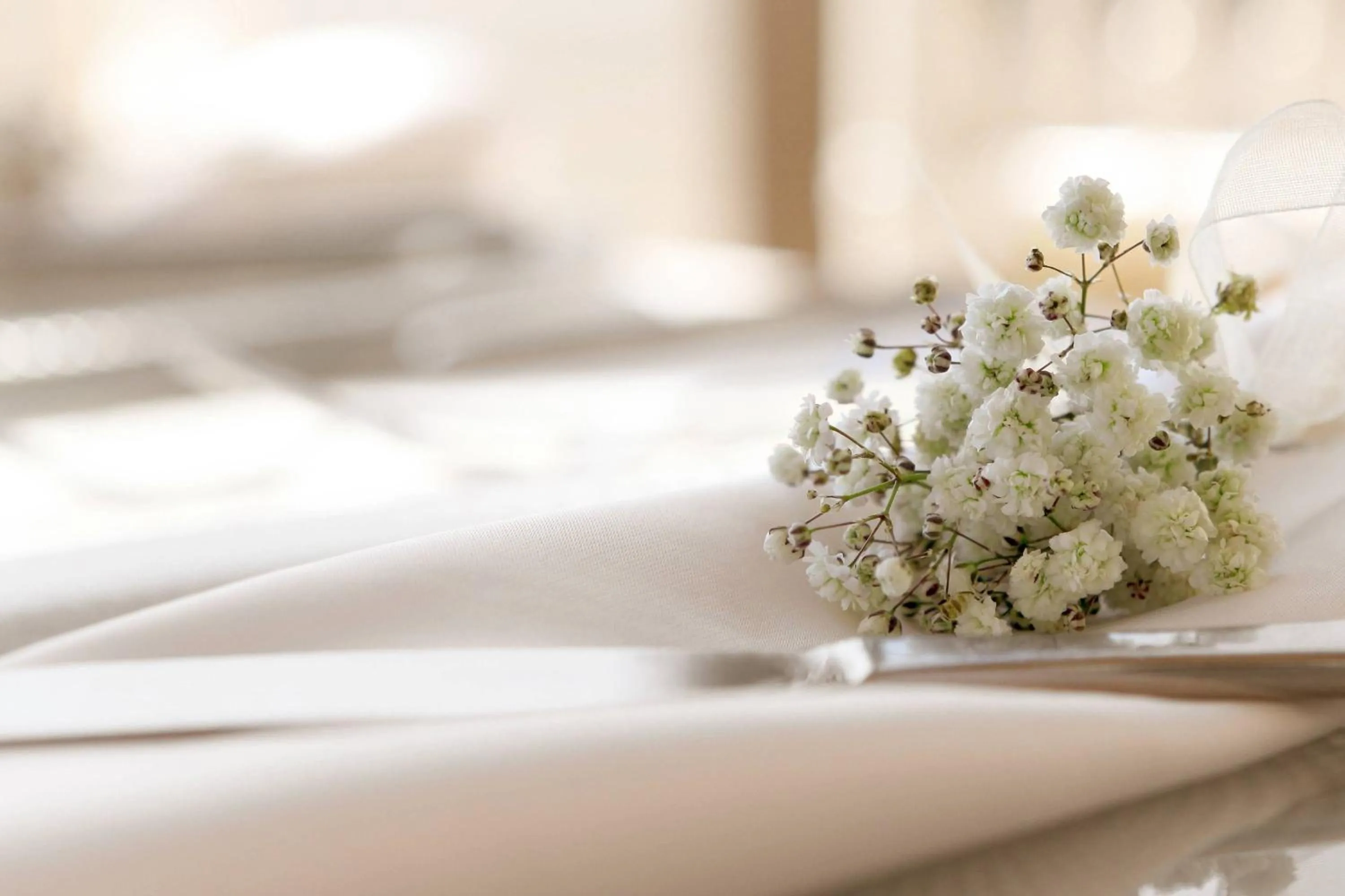 Banquet/Function facilities, Bed in Niagara Falls Marriott Fallsview Hotel & Spa