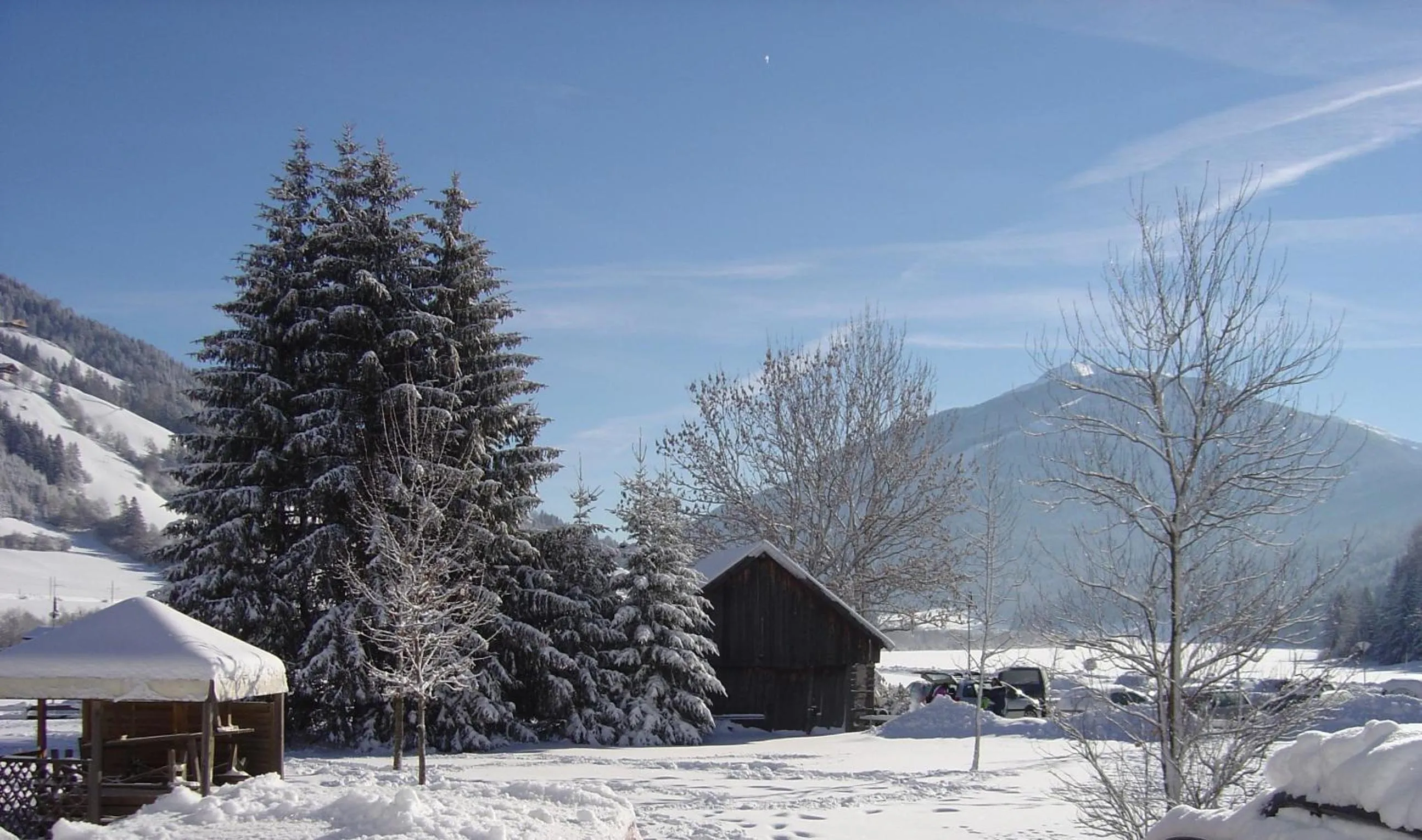 Garden in Hotel Brandl