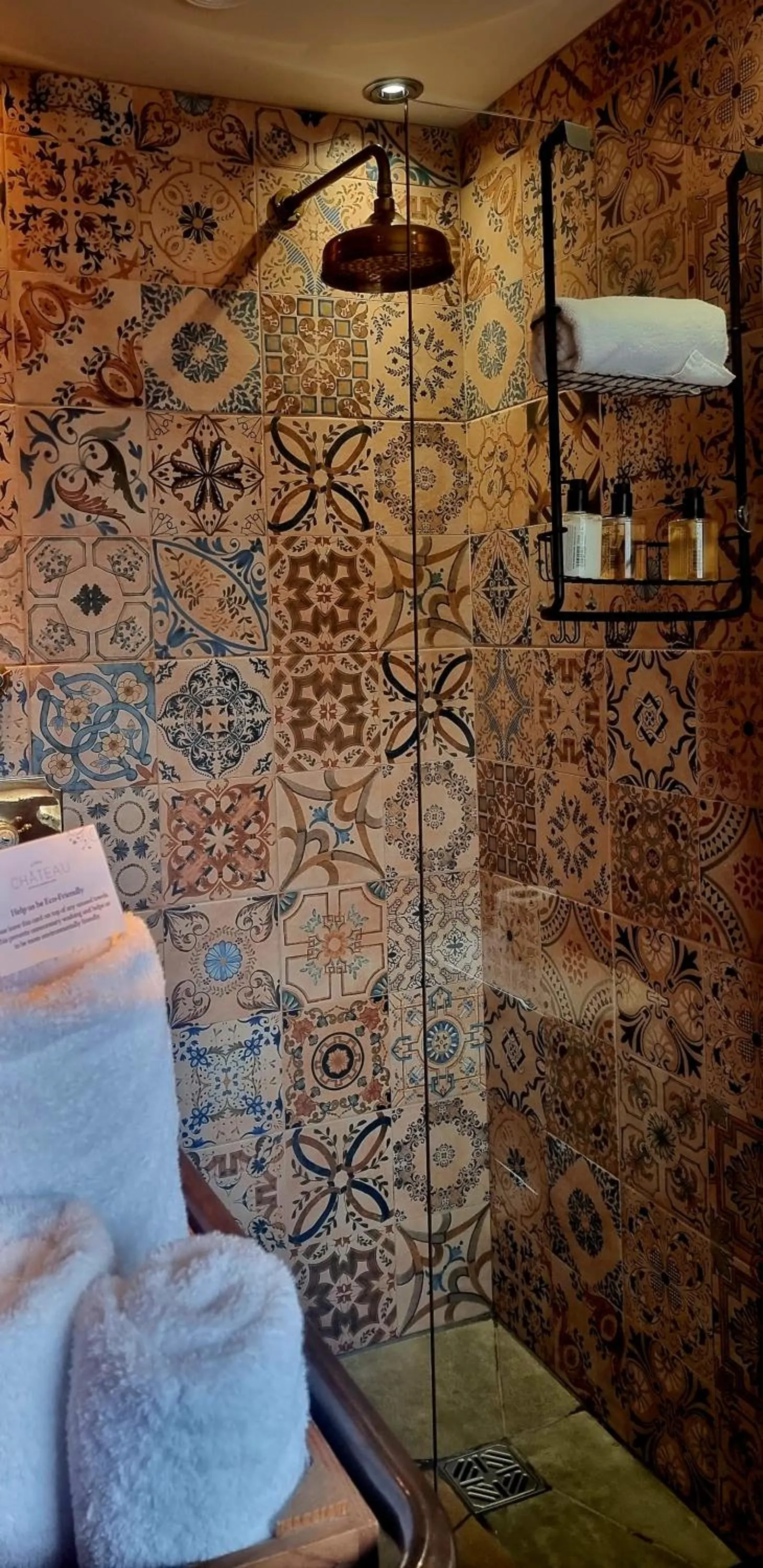 Shower in Le Petit Chateau & William de Percy