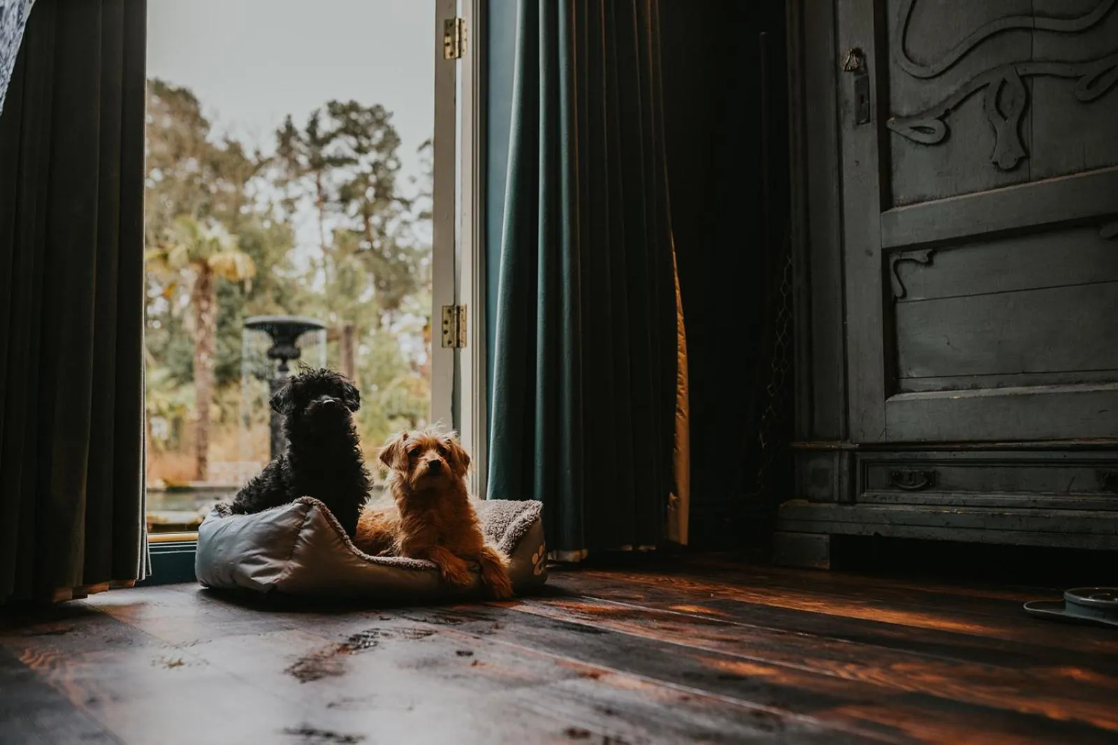 Le Petit Chateau & William de Percy