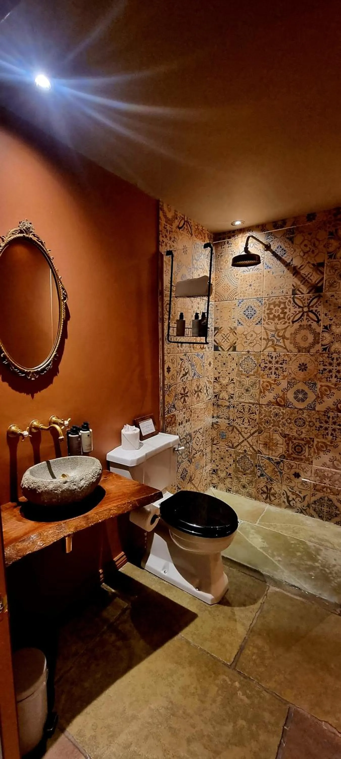 Shower in Le Petit Chateau & William de Percy