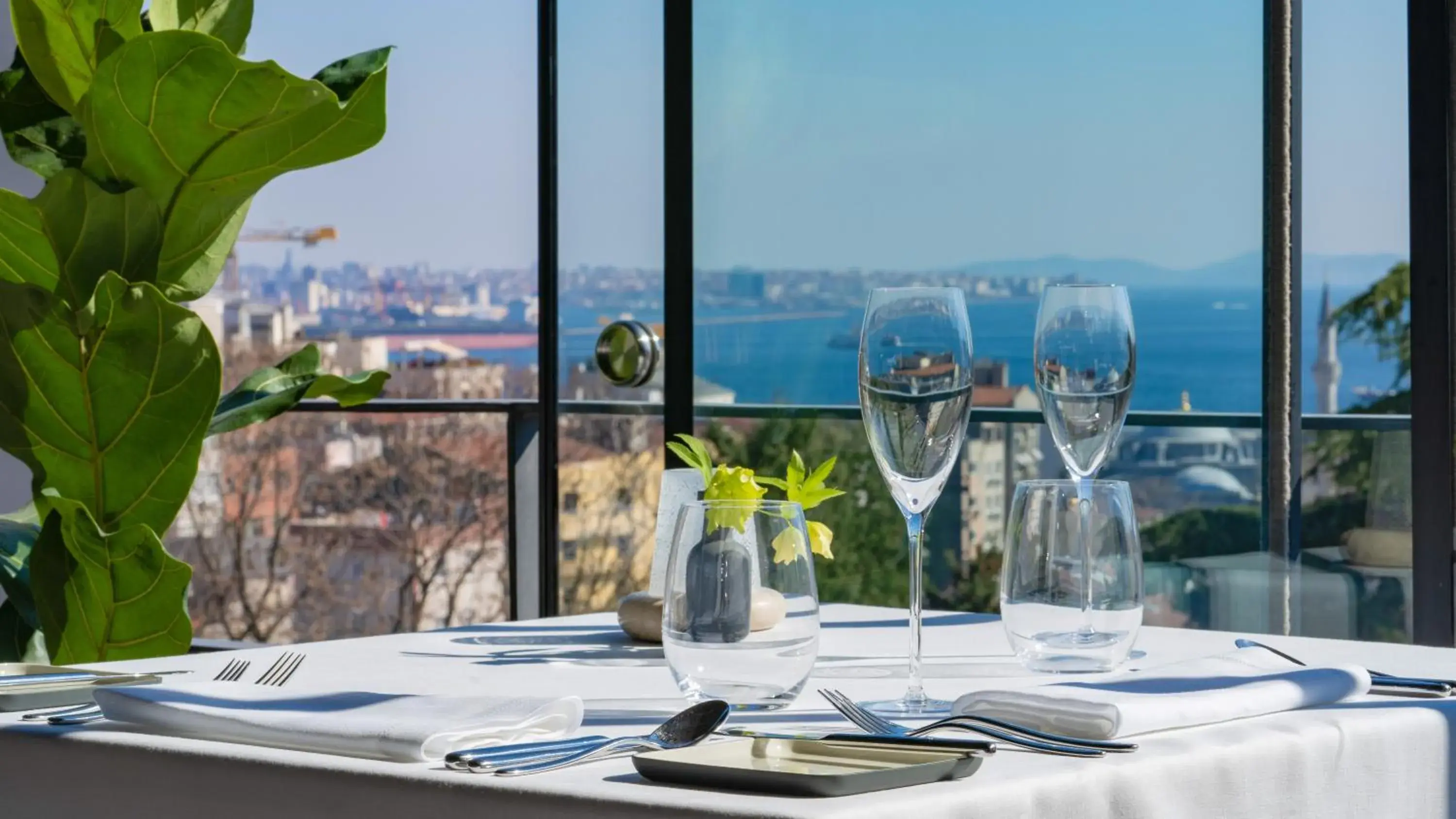 Restaurant/places to eat in Tomtom Suites Restaurant/places to eat in Tomtom Suites