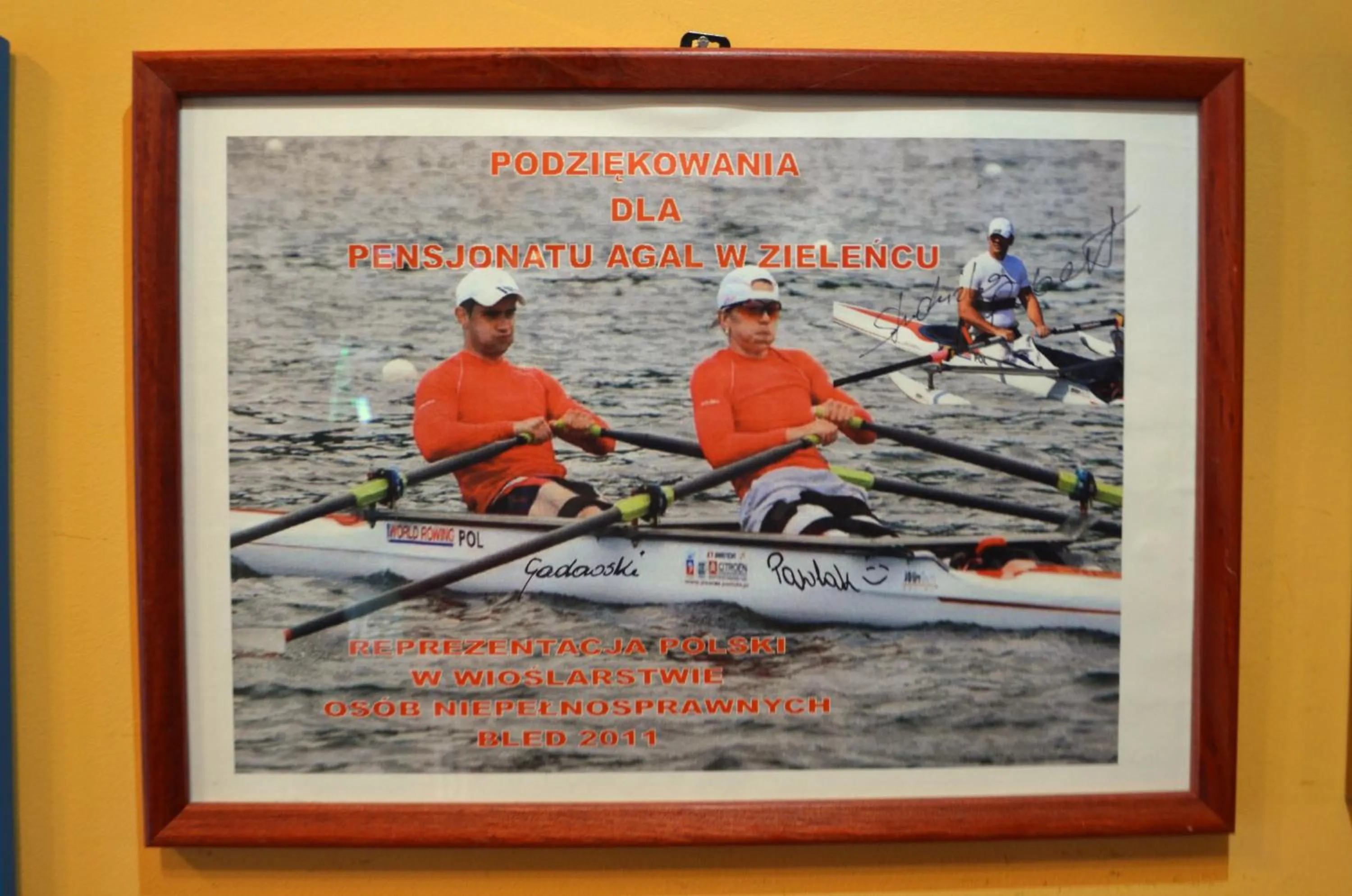 Certificate/Award in Agal Zieleniec