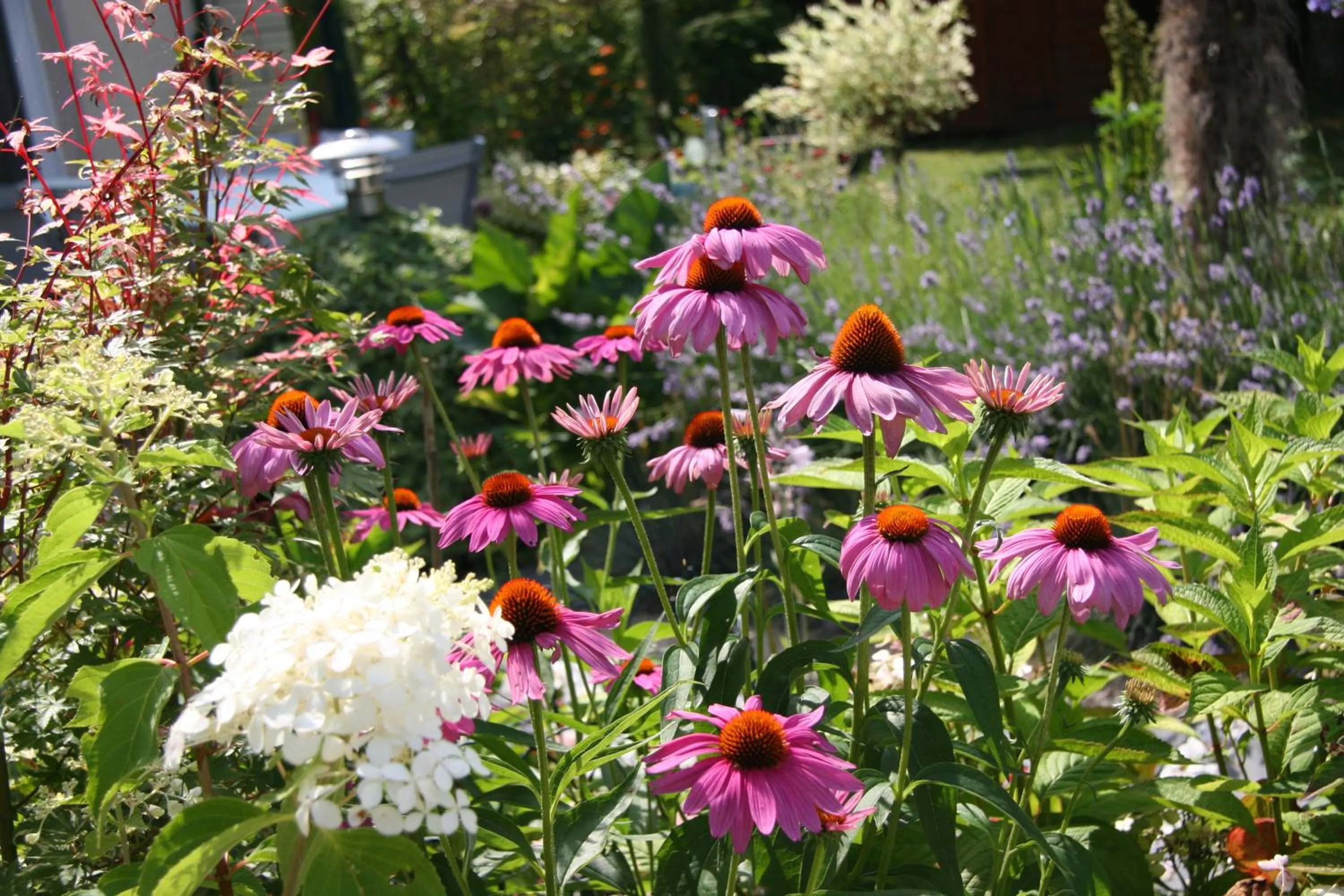 Garden in Les Suites Champenoises