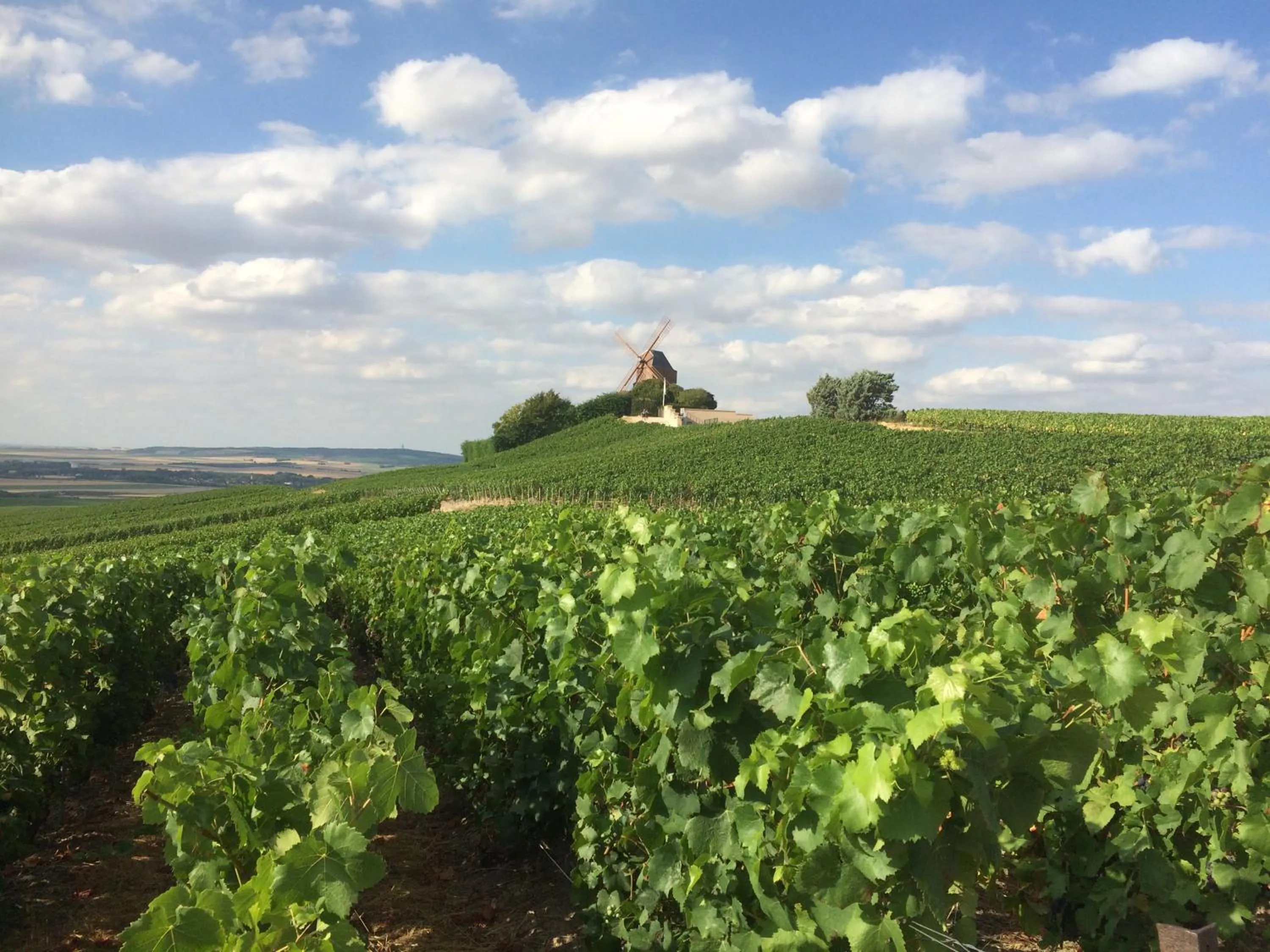 Off site in Les Suites Champenoises