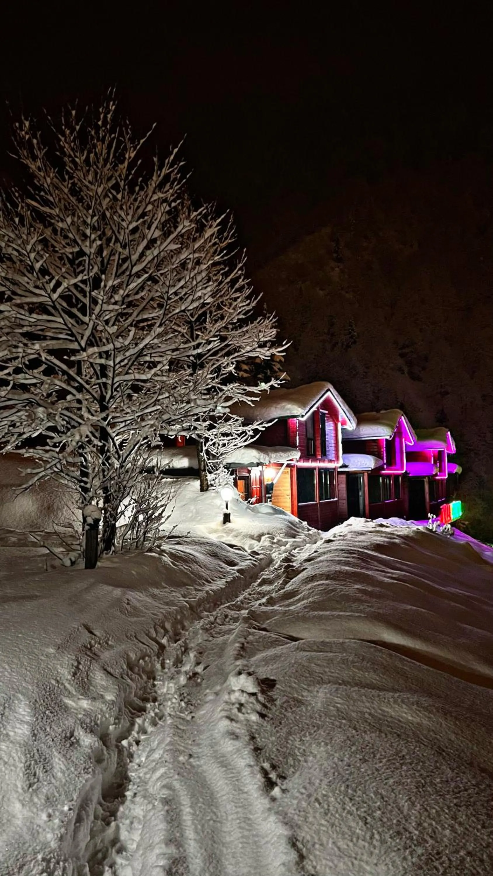 Property building in Ayder Villa Gencal