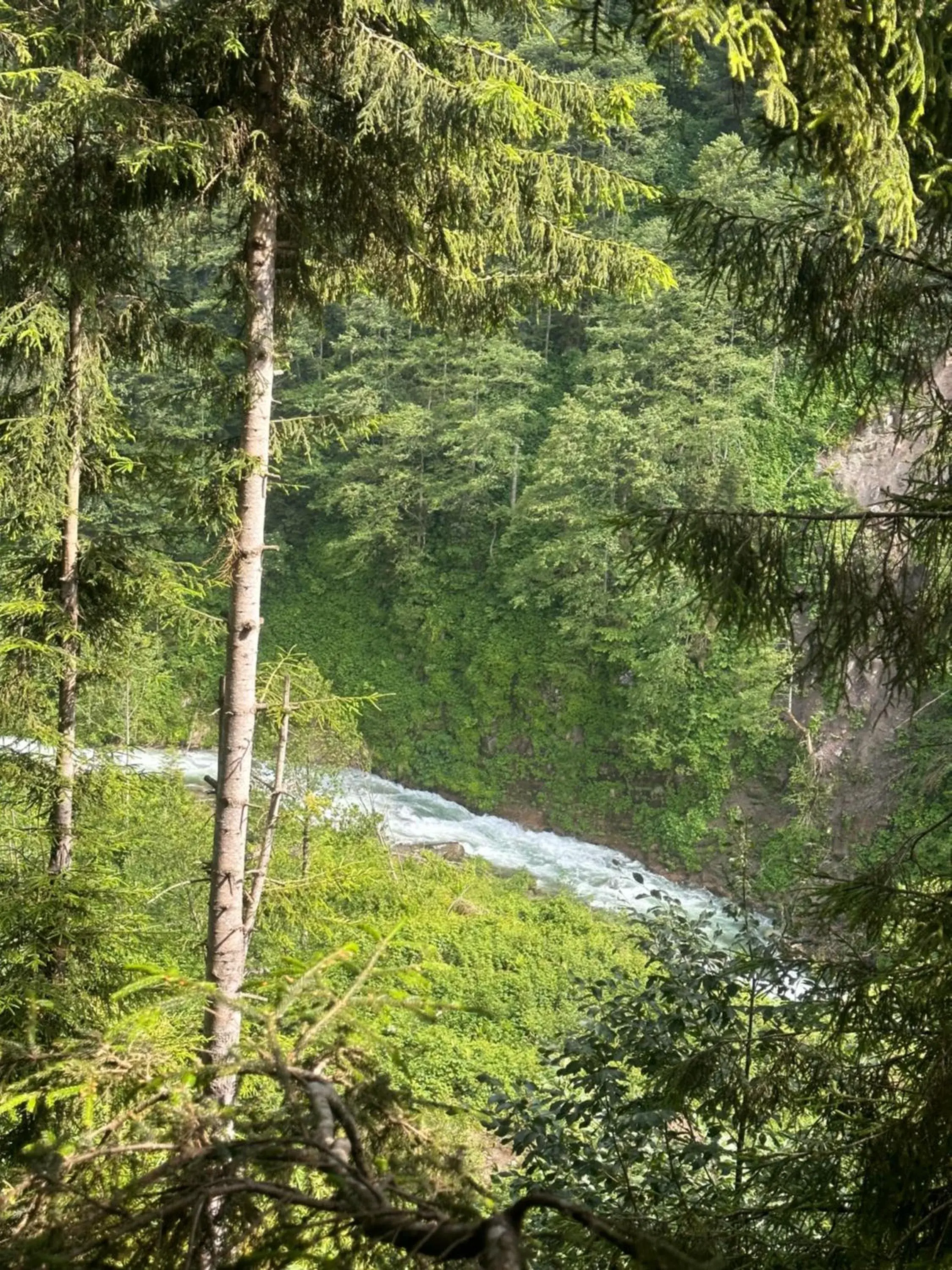 Deluxe Villa in Ayder Villa Gencal Deluxe Villa in Ayder Villa Gencal