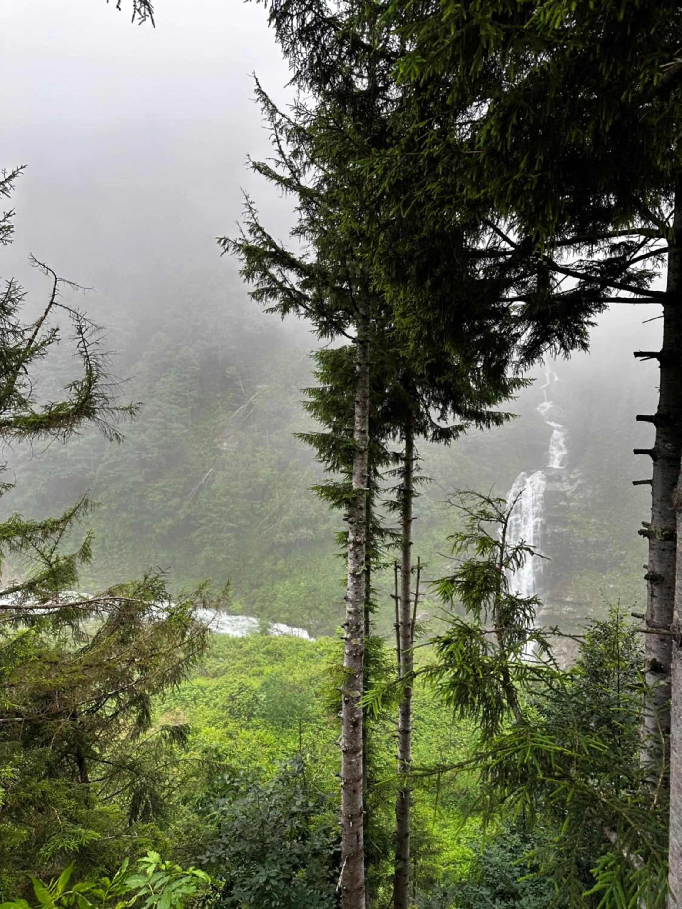 Day in Ayder Villa Gencal