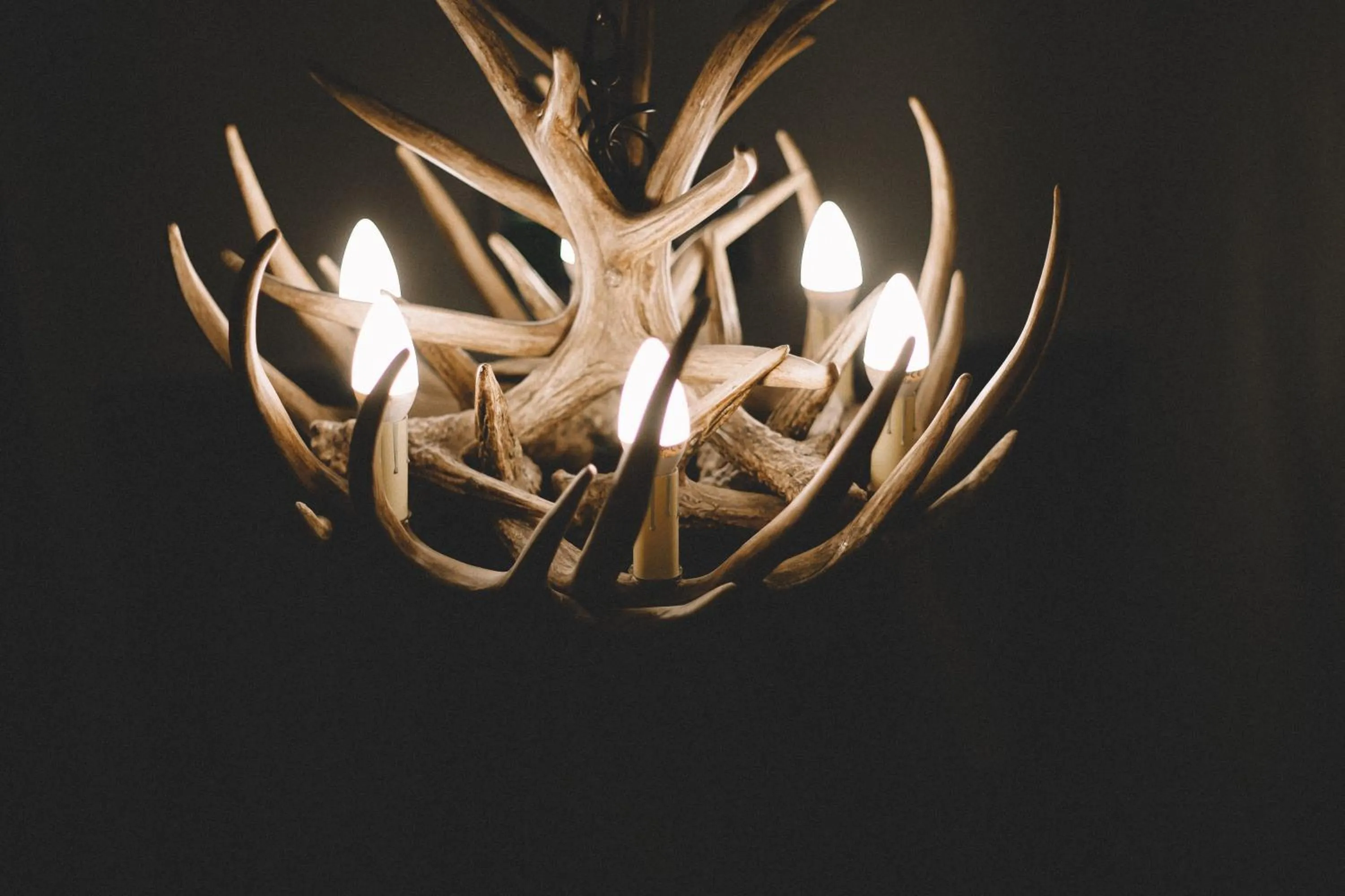 Decorative detail in The Stag at Stow