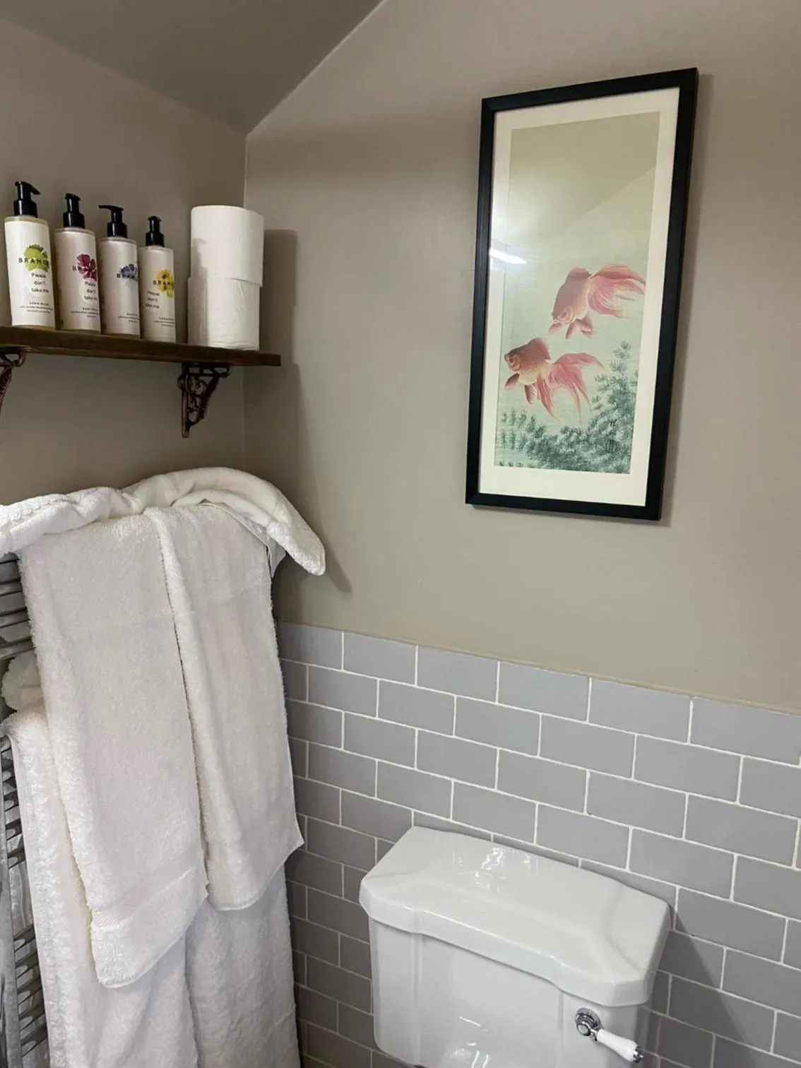 Toilet in The Stag at Stow