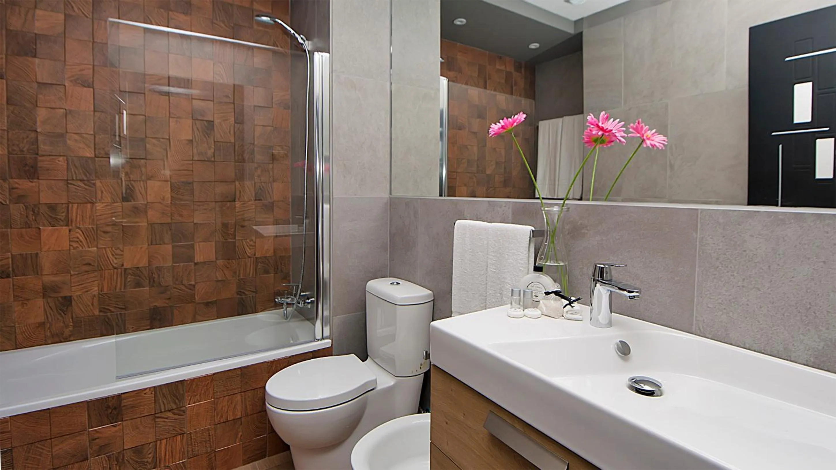 Photo of the whole room in Apartamentos Suites Oficentro Deluxe