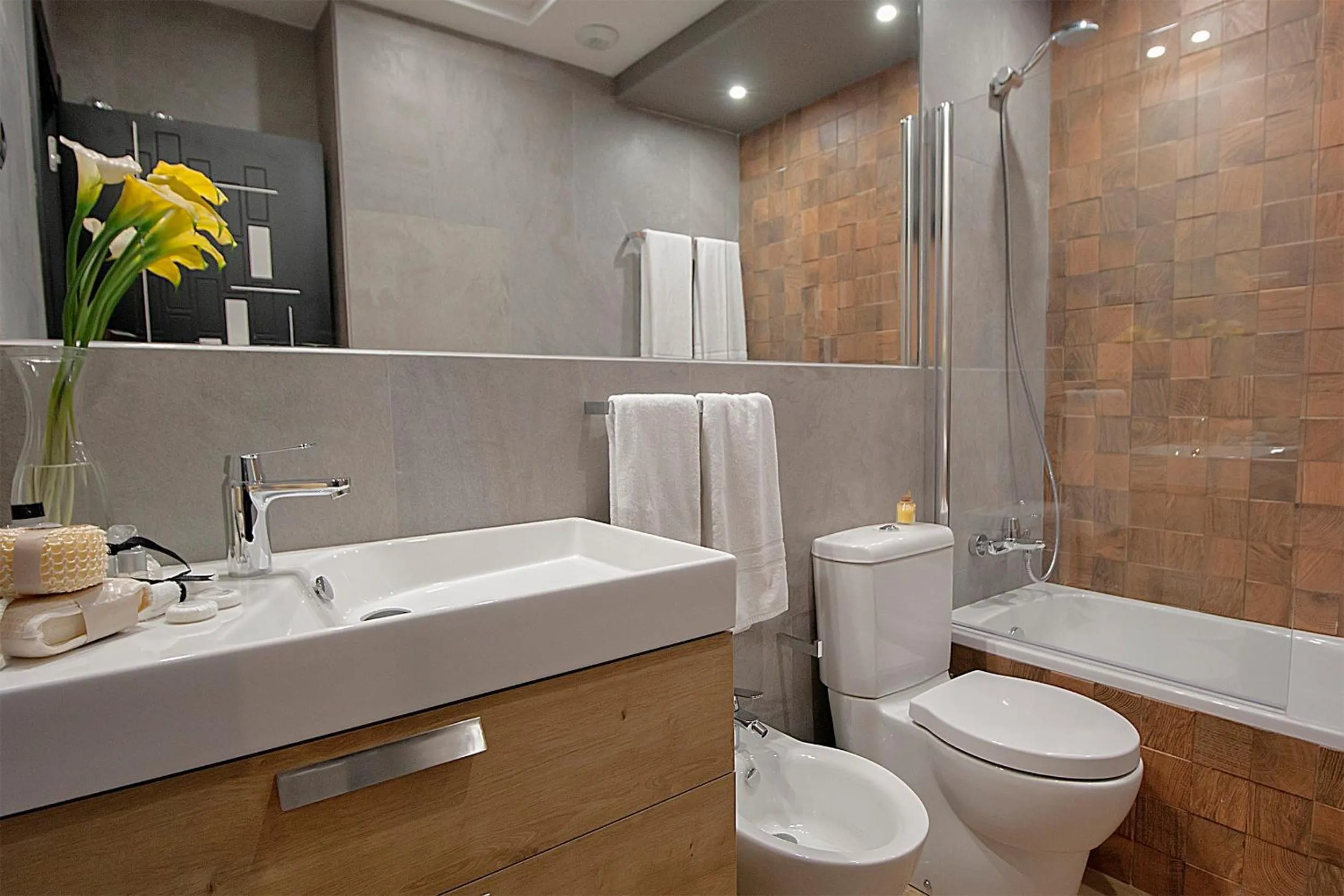 Photo of the whole room in Apartamentos Suites Oficentro Deluxe