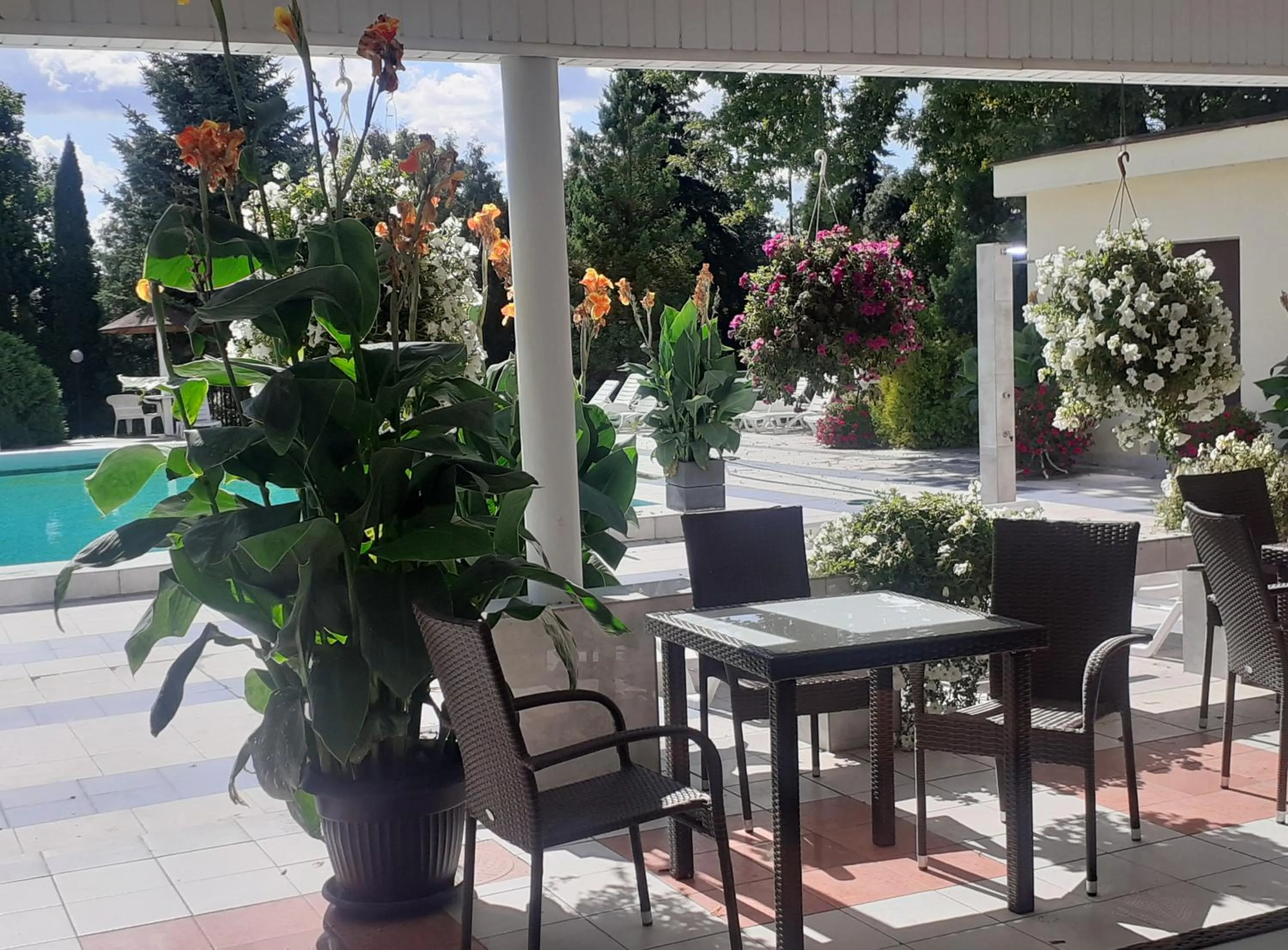 Patio in Hotel Ambasador Chojny