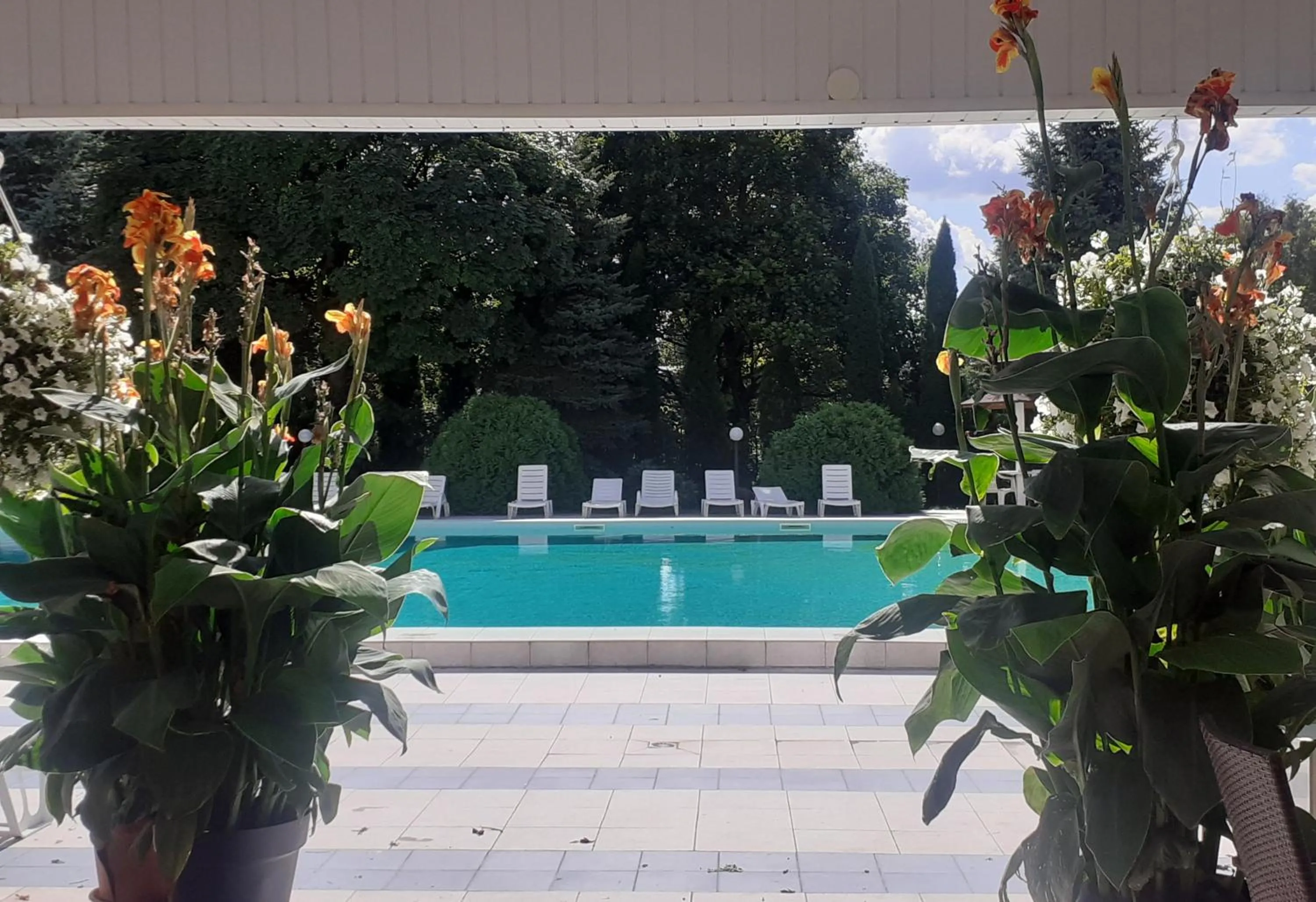 Swimming pool in Hotel Ambasador Chojny