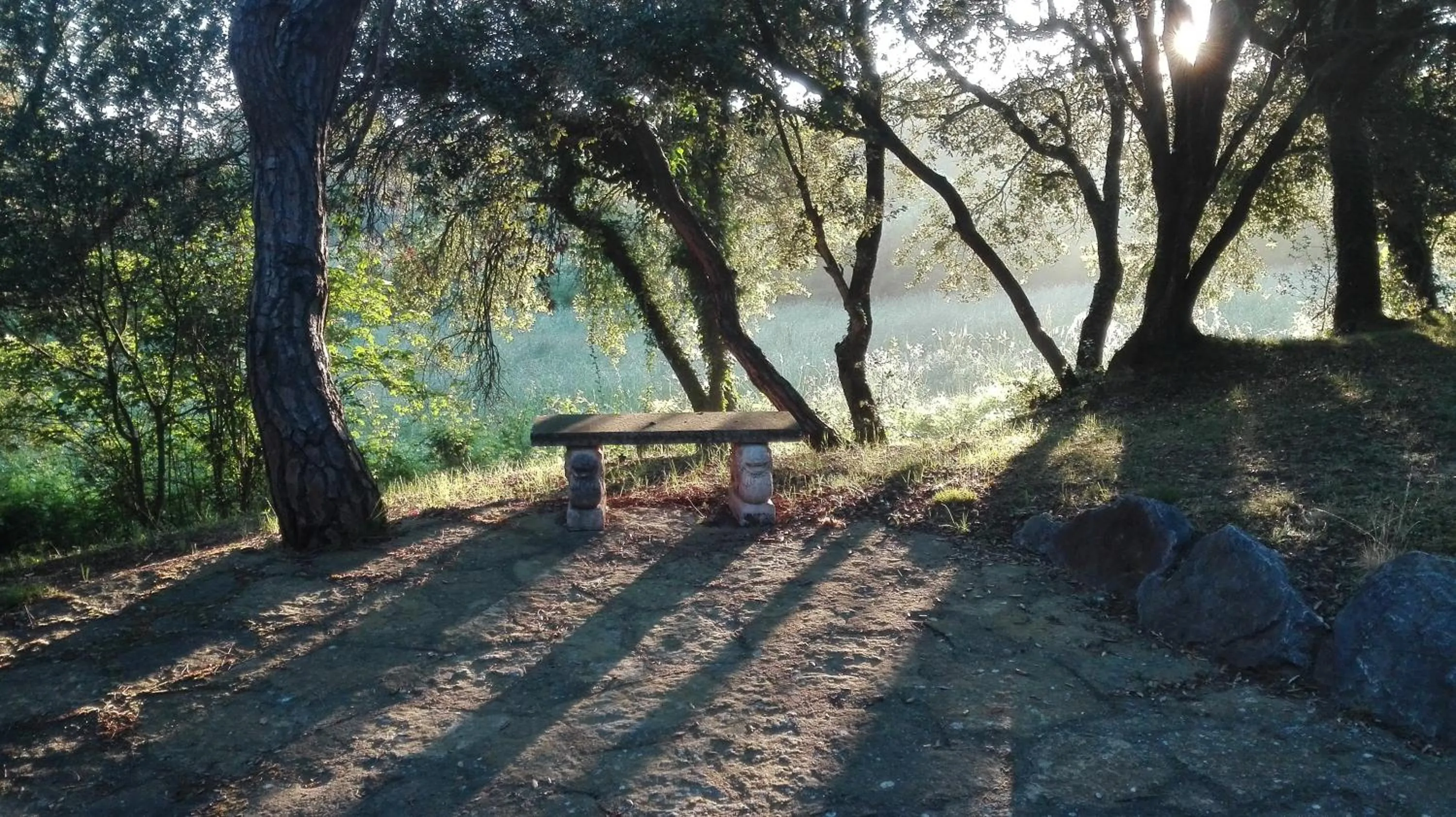 Garden in Les Margarides