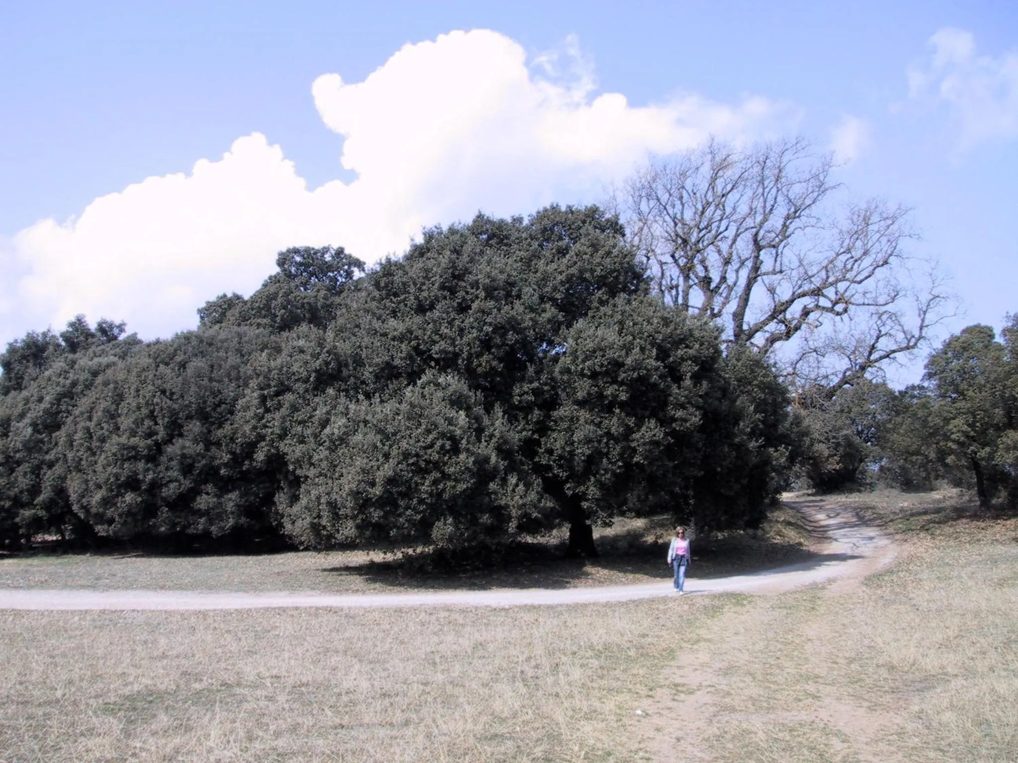 Hiking in Les Margarides