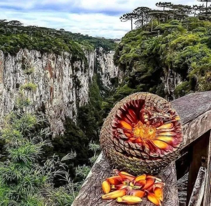 Pousada Encanto dos Cânions