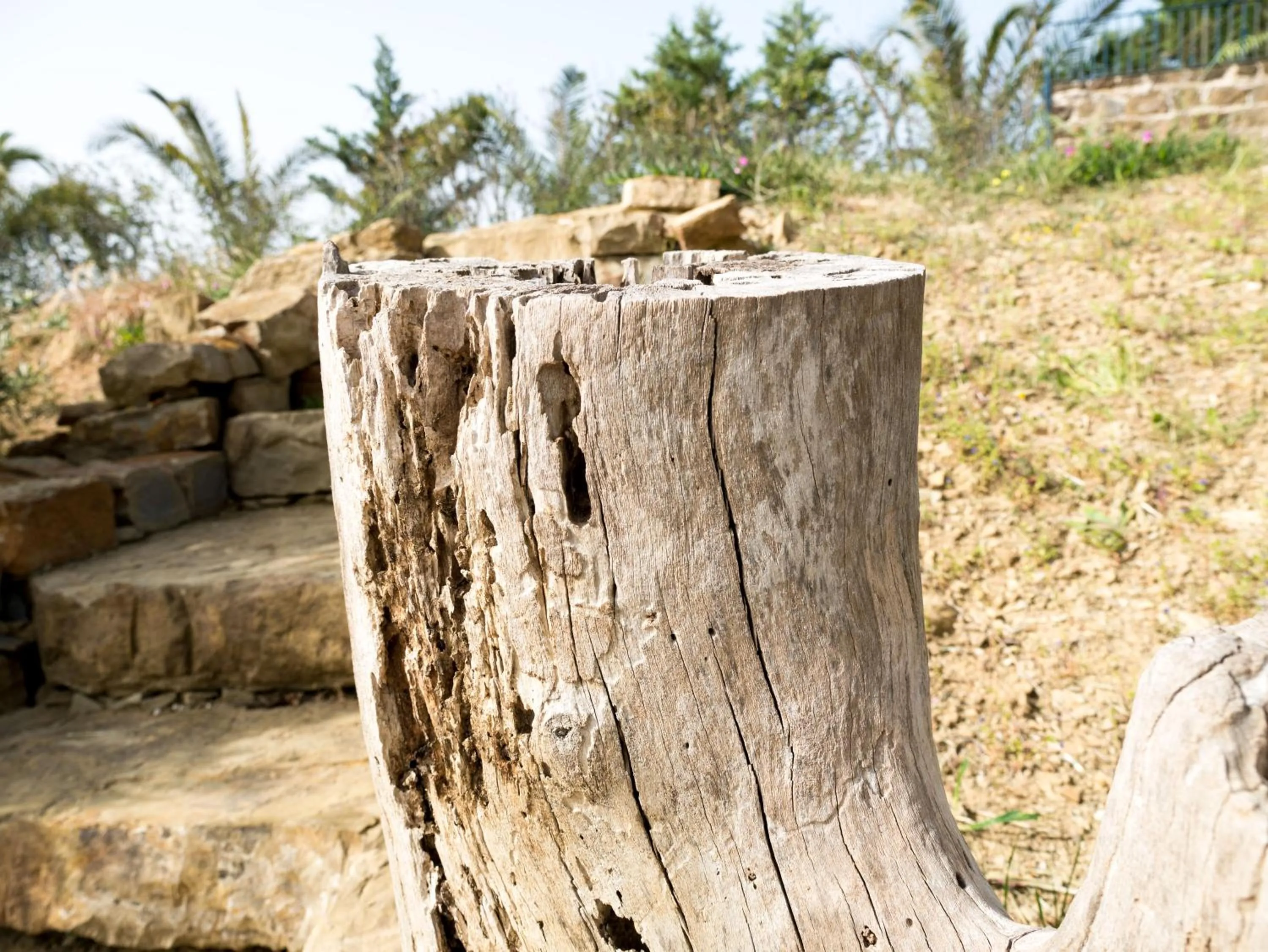Decorative detail in Kotroni Villas