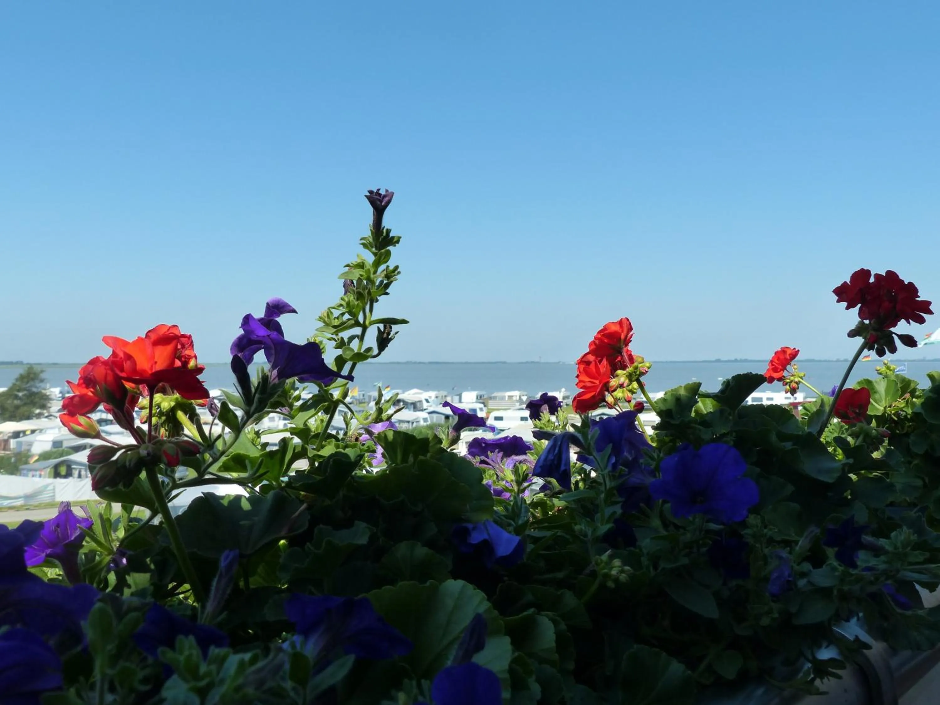 View (from property/room) in Strand-Hotel