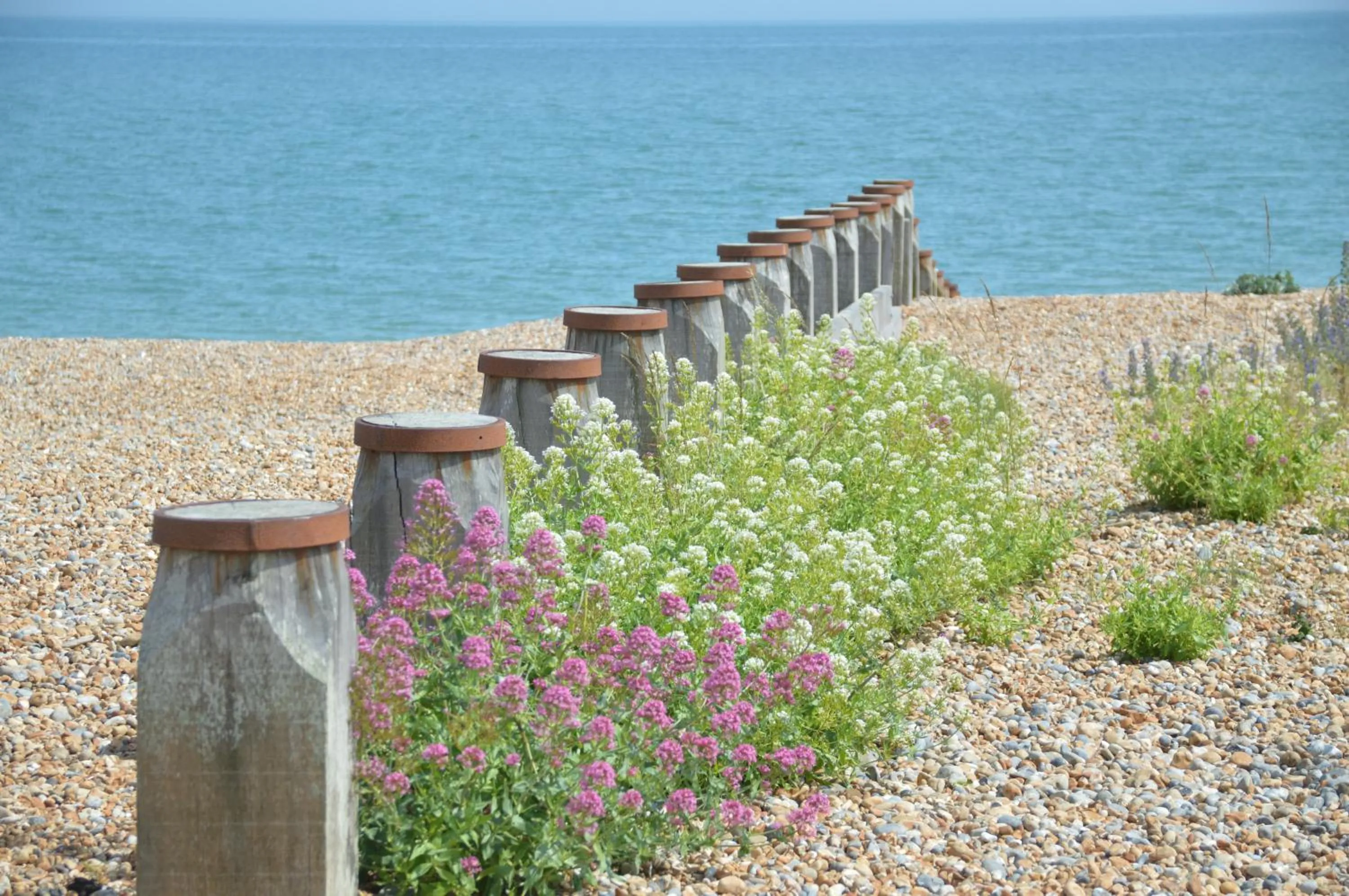 Natural landscape in The Gem