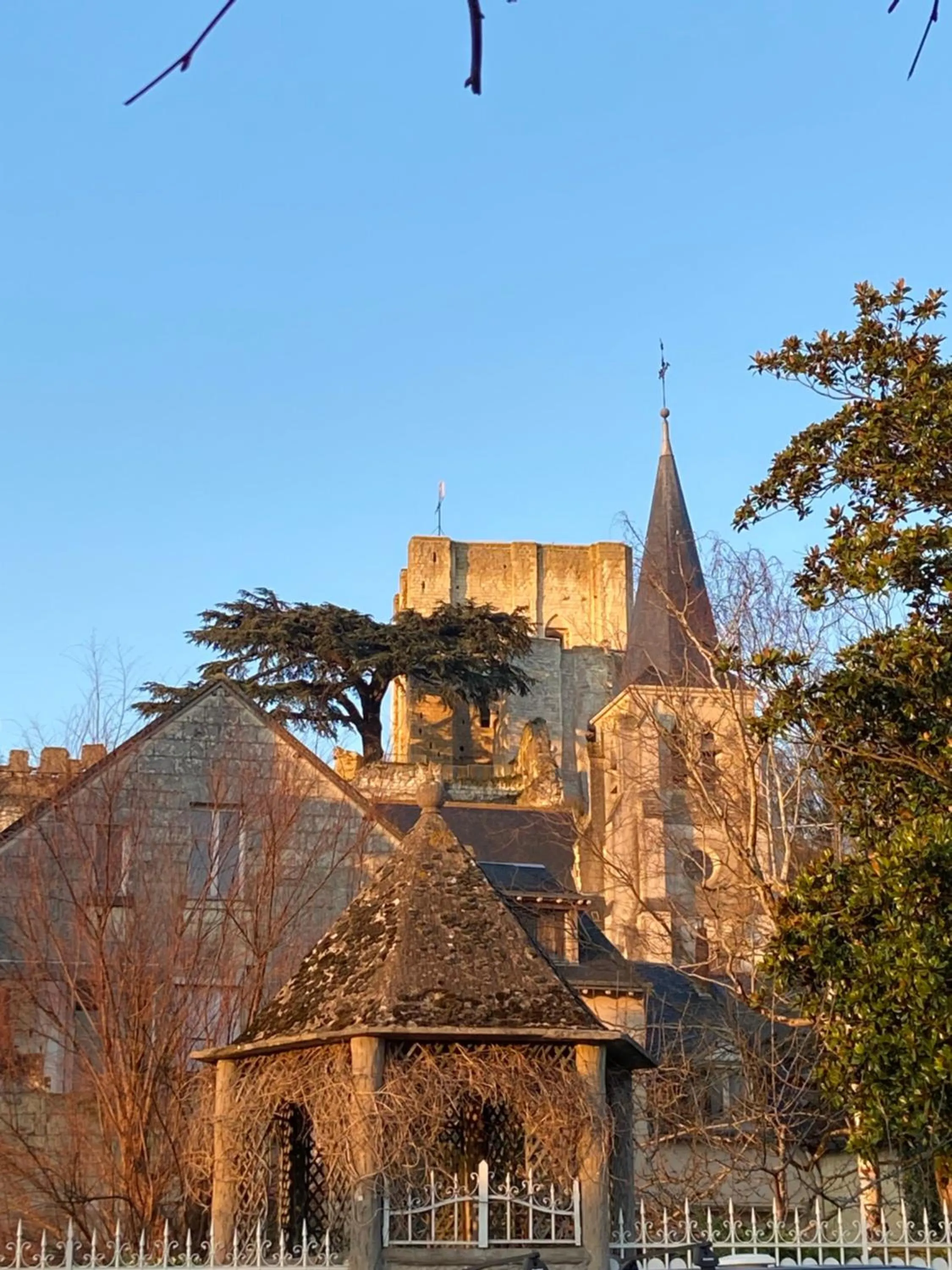 Hiking in Les Rives du Cher - Chambres d'hôtes