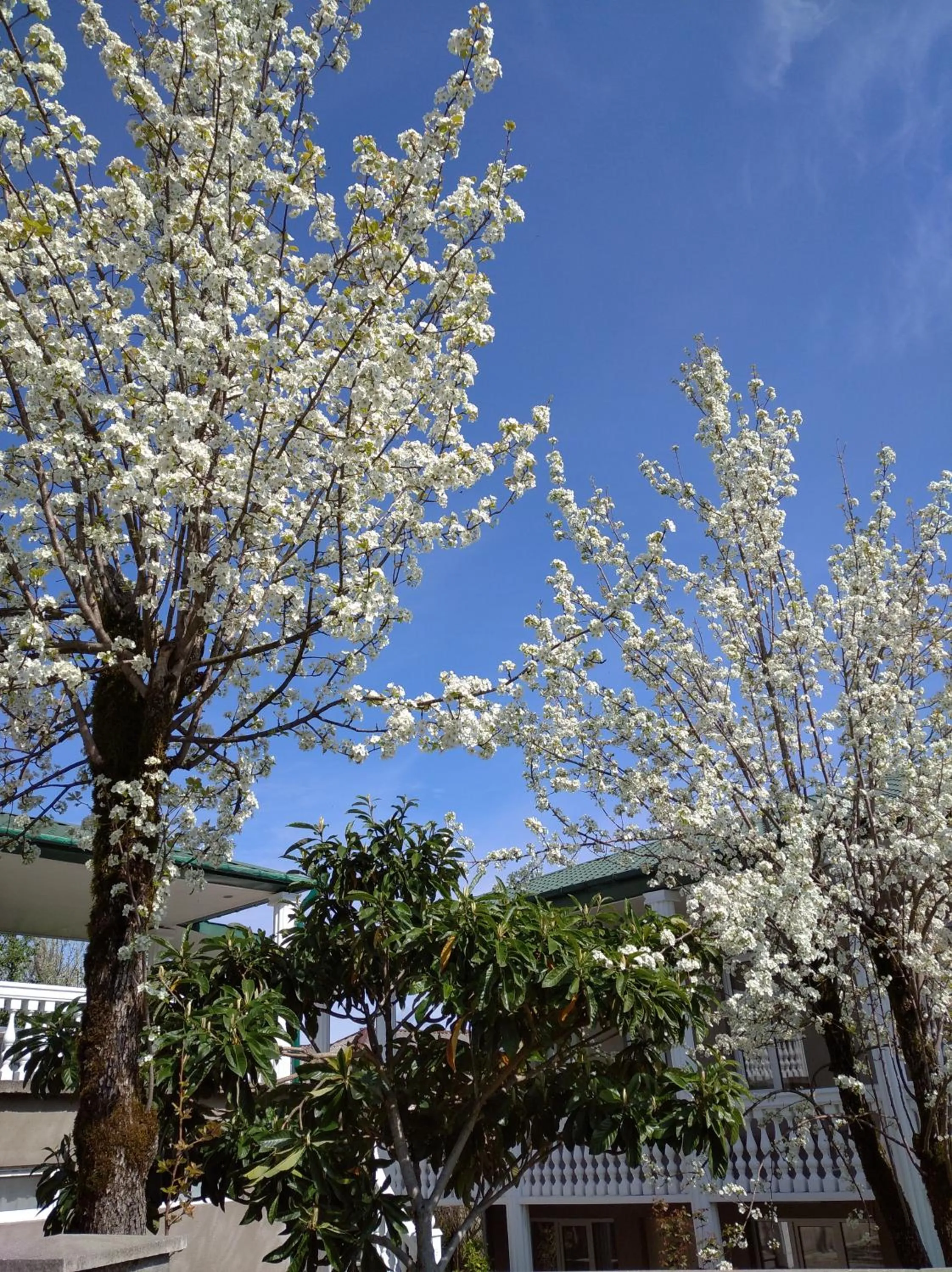Spring in Tskaltubo Apartment Mirian Mepe
