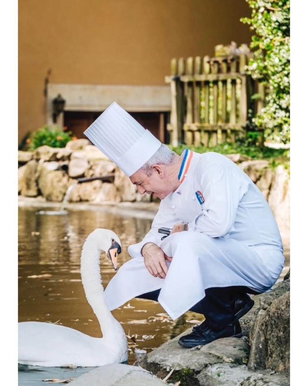 Domaine de Clairefontaine - Teritoria