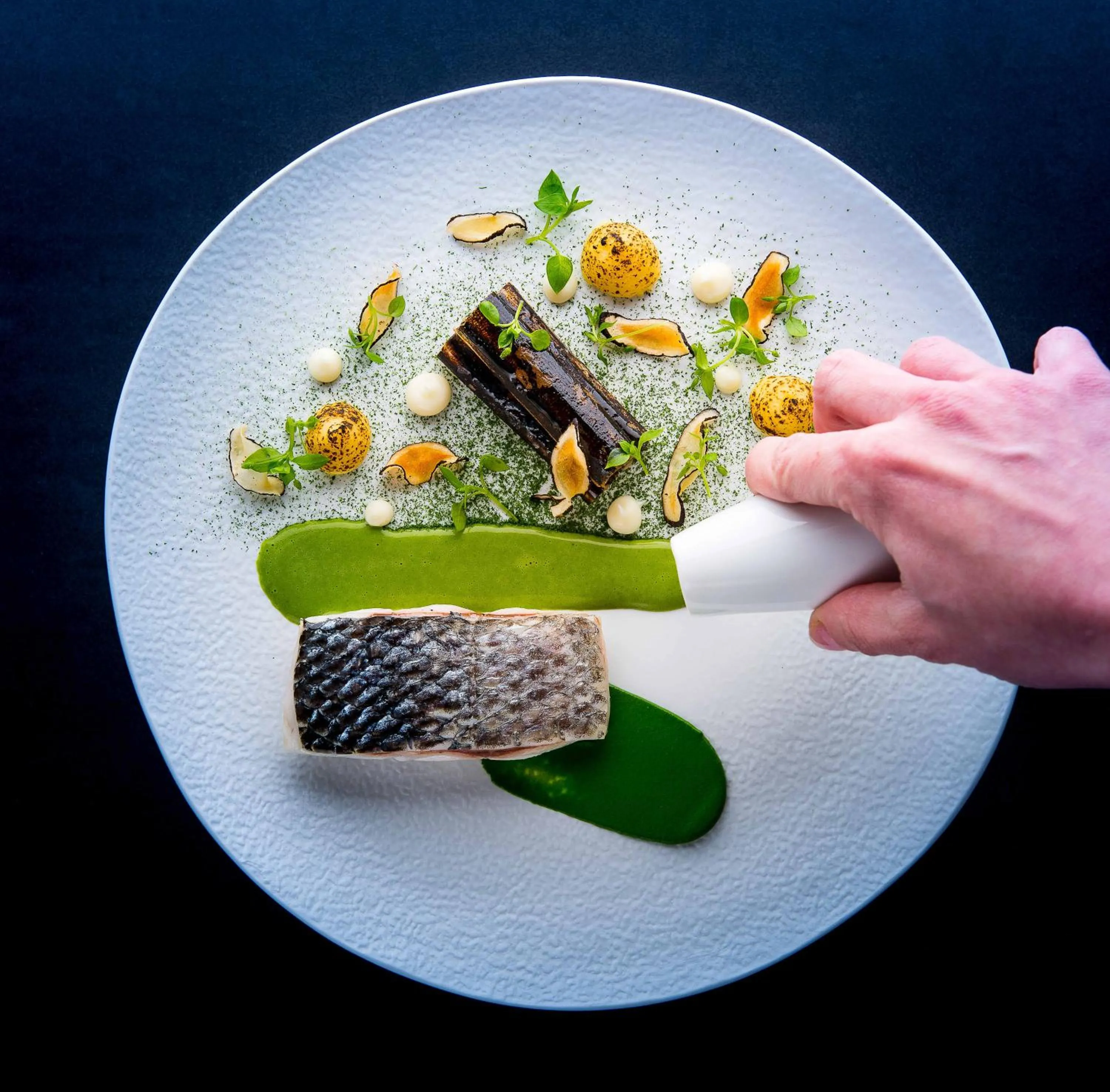 Domaine de Clairefontaine - Teritoria