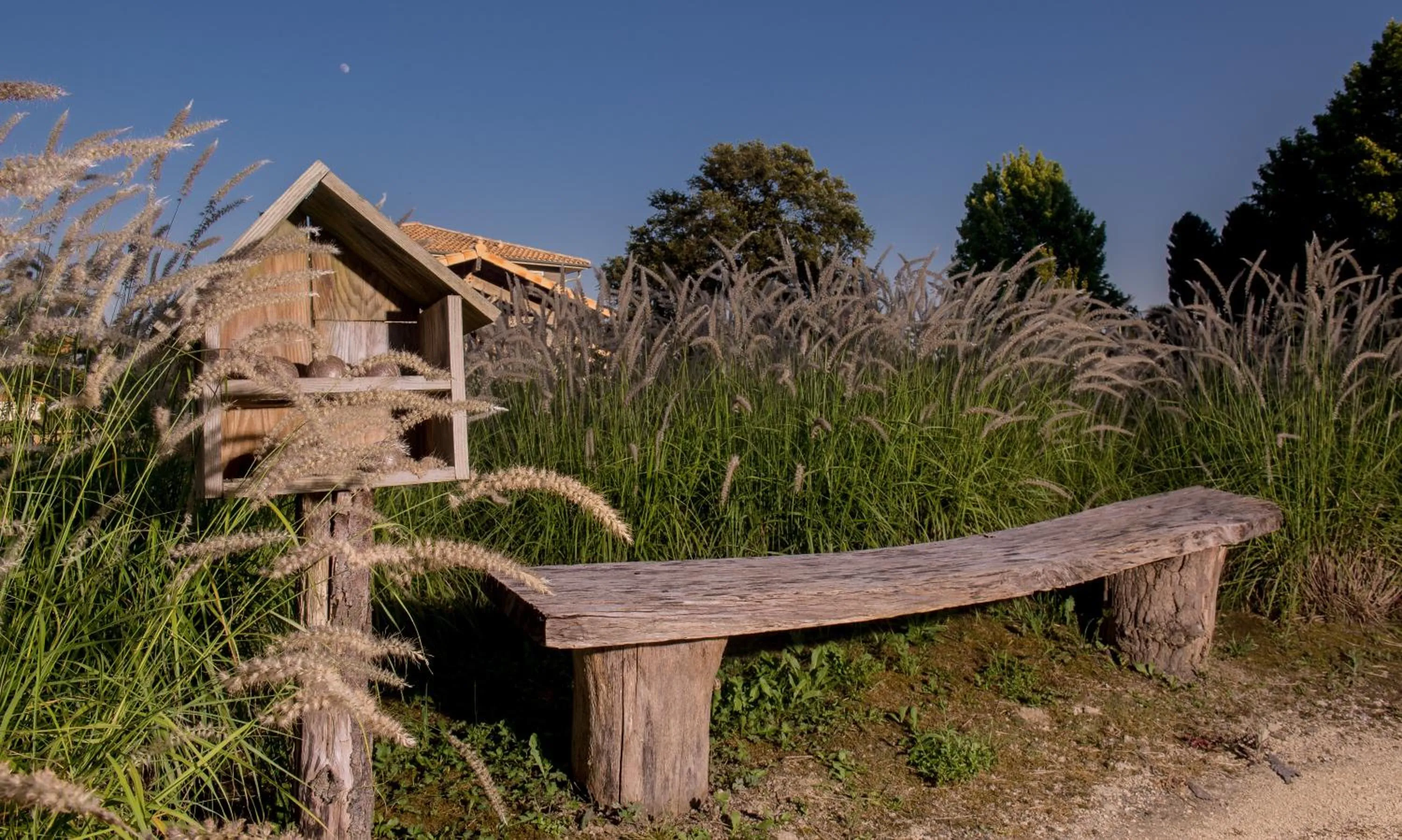 Natural landscape in La Petite Couronne, Ecolodge & Lofts
