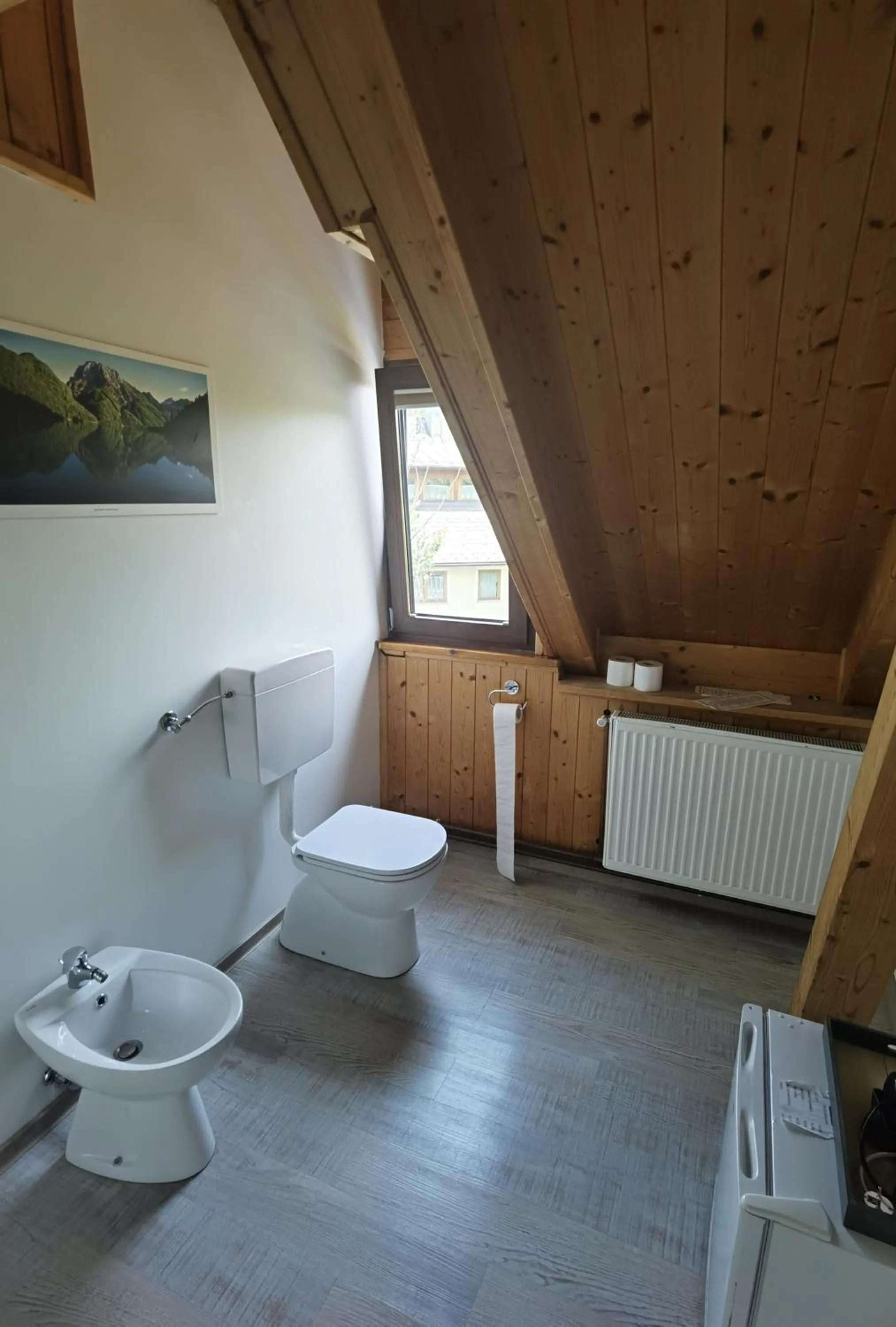 Toilet in Hotel Tarvisio Four Seasons