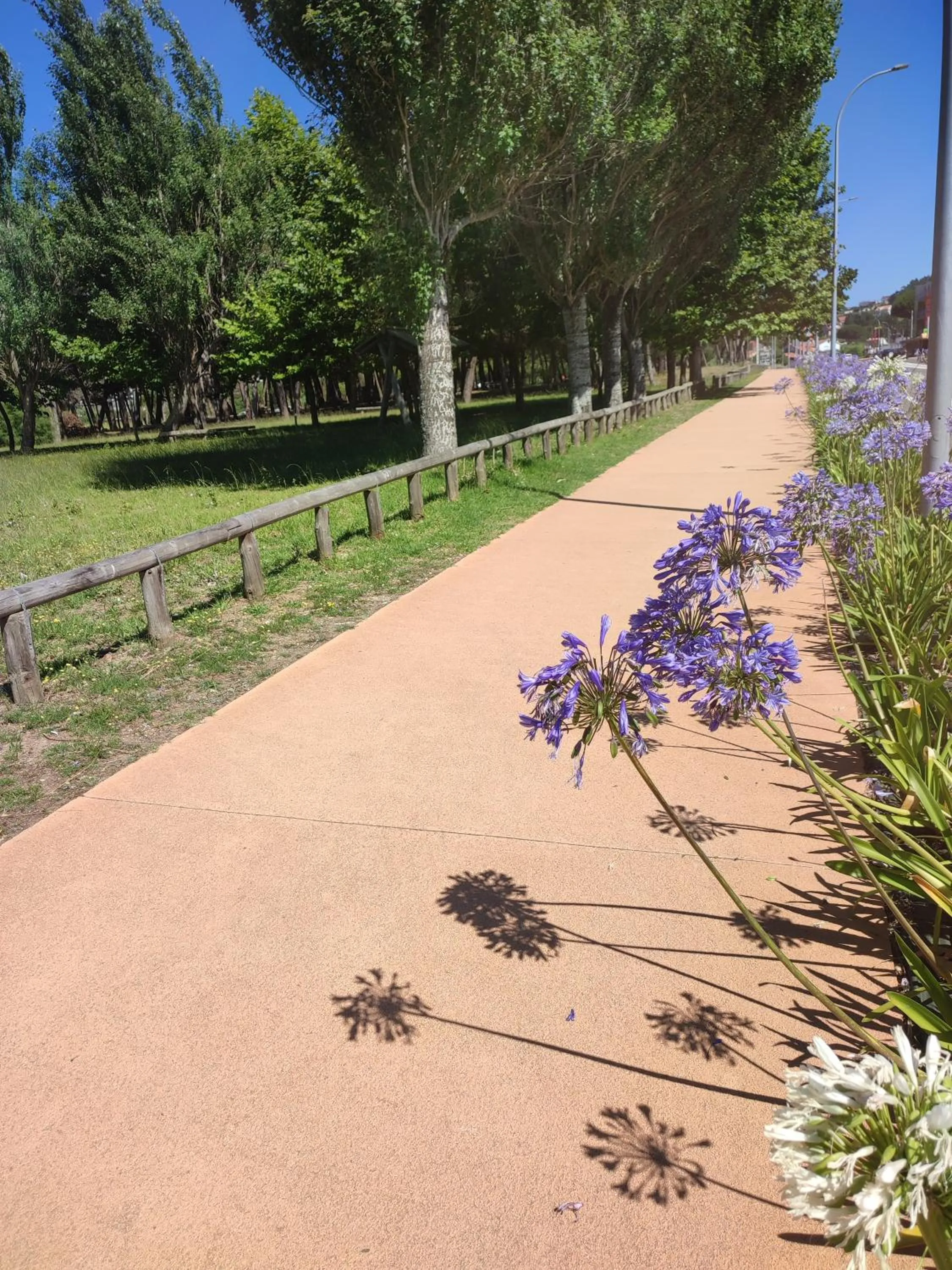 Hiking in Apartamentos Marsil