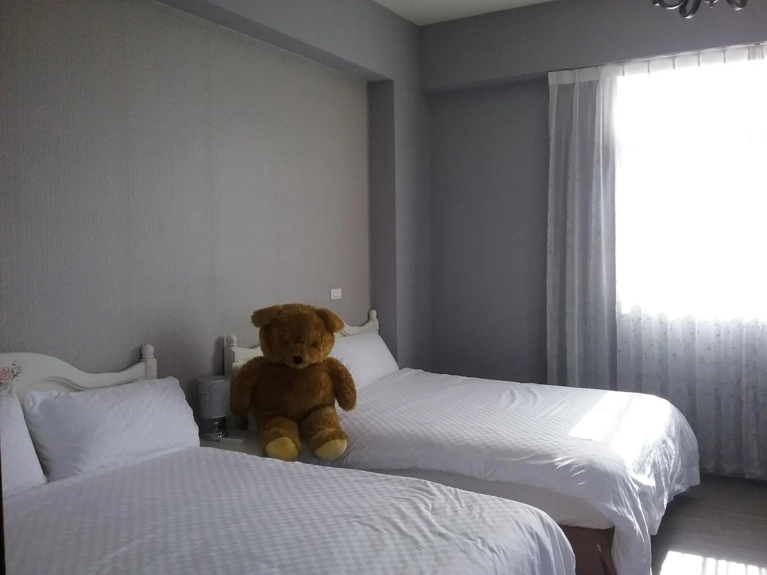 bunk bed, Bed in Slowly B&B