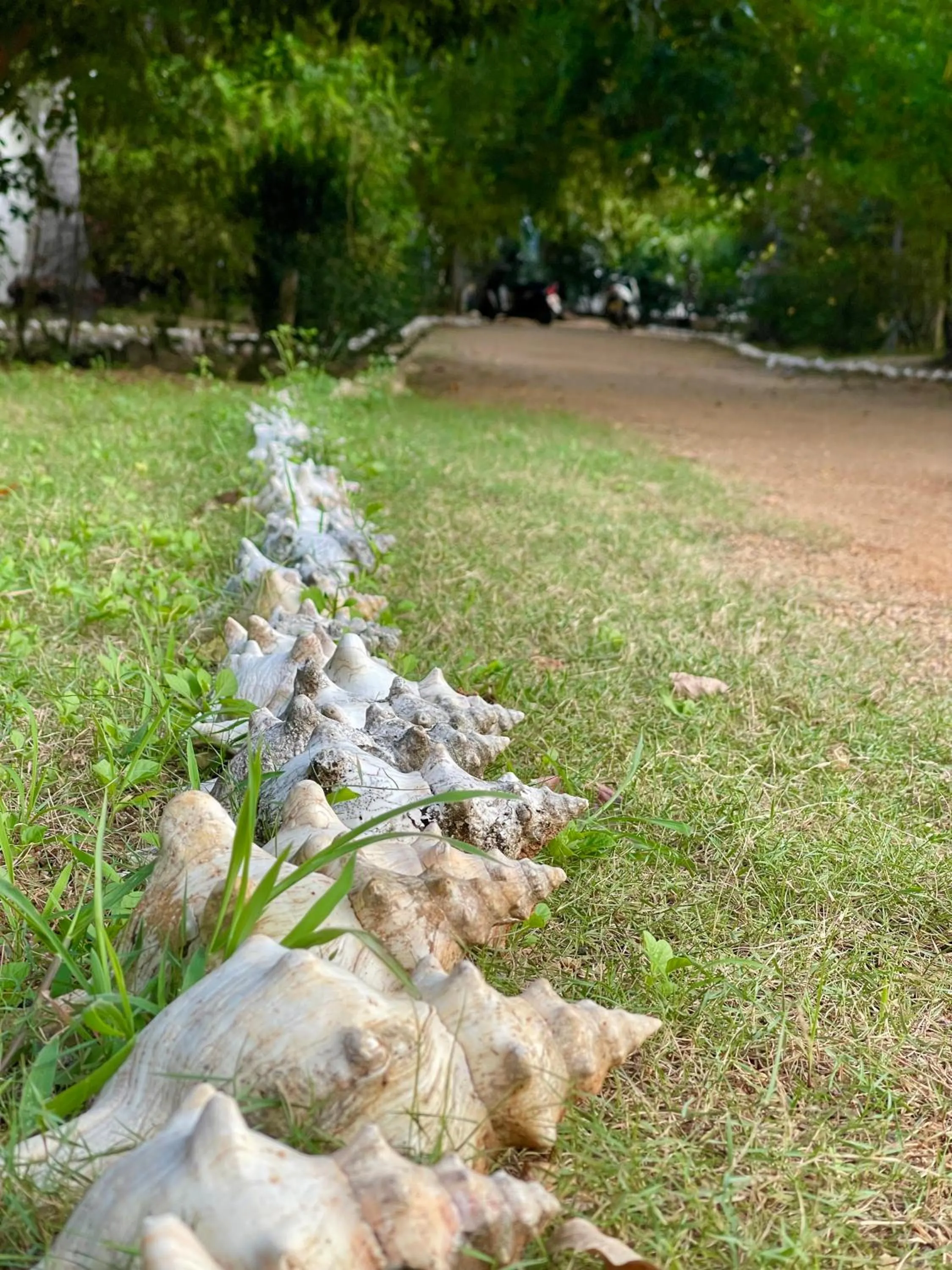 Valampuri Kite Resort