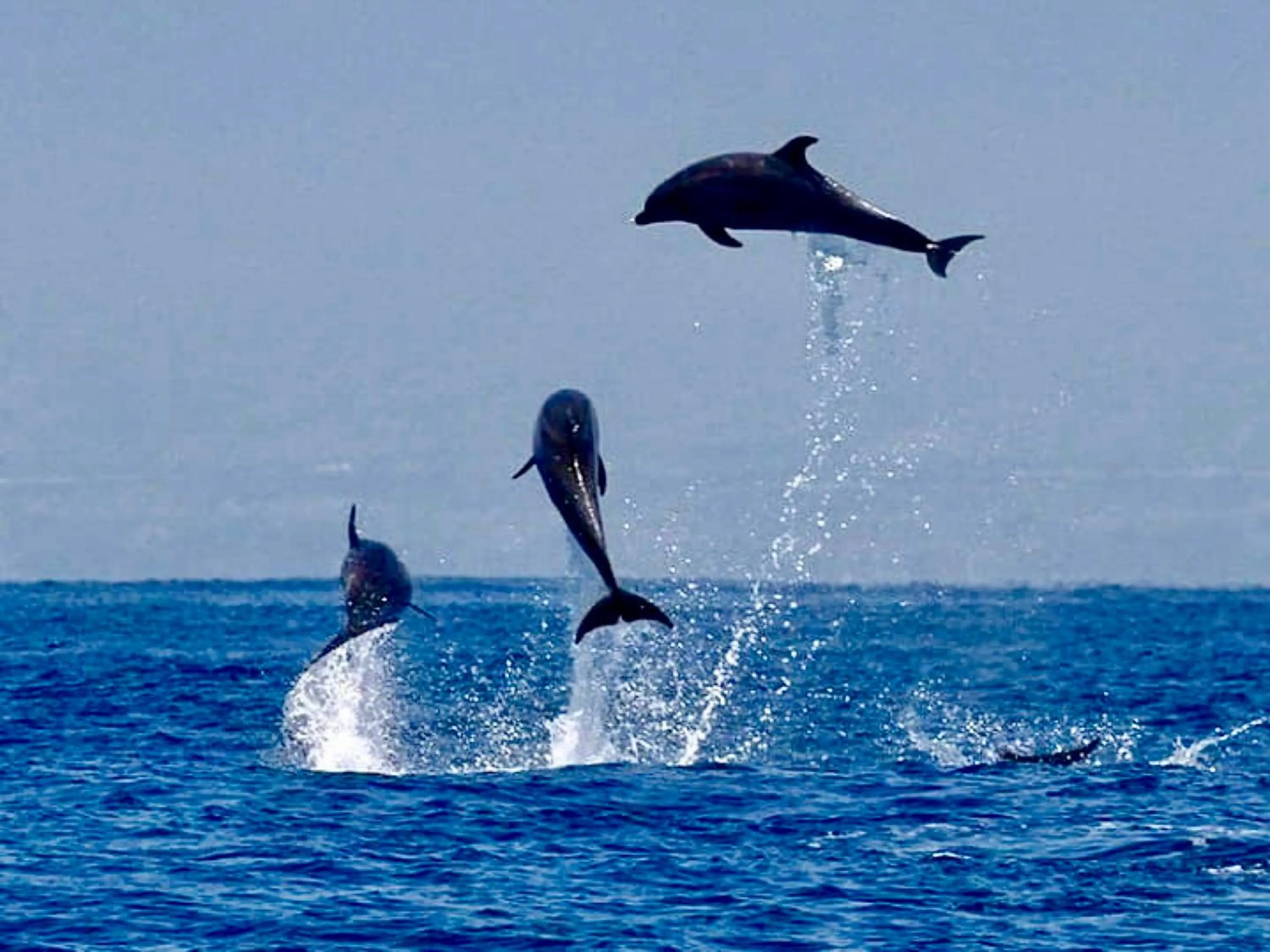 Natural landscape in Valampuri Kite Resort