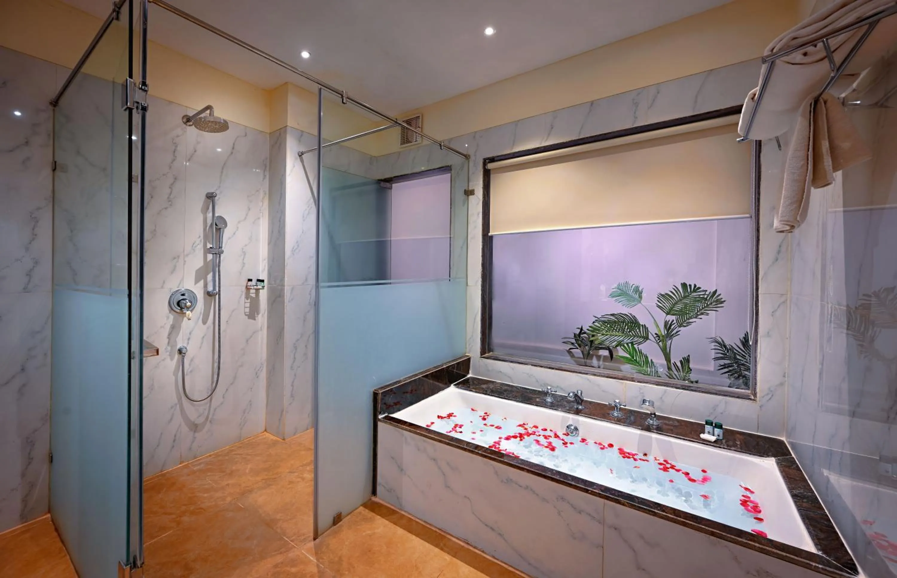 Shower in The Tigress, Ranthambore