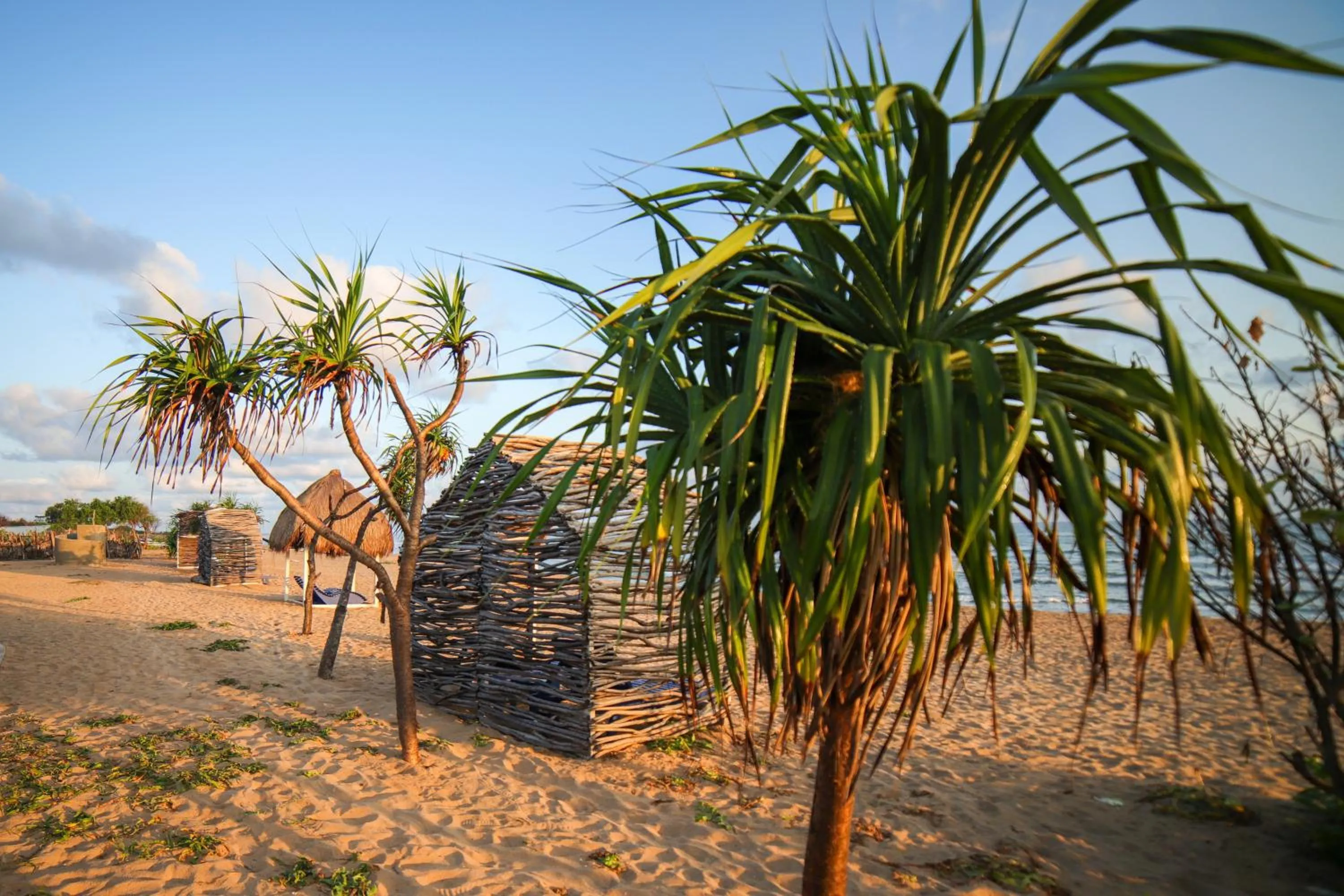Beach in Amanta Beach