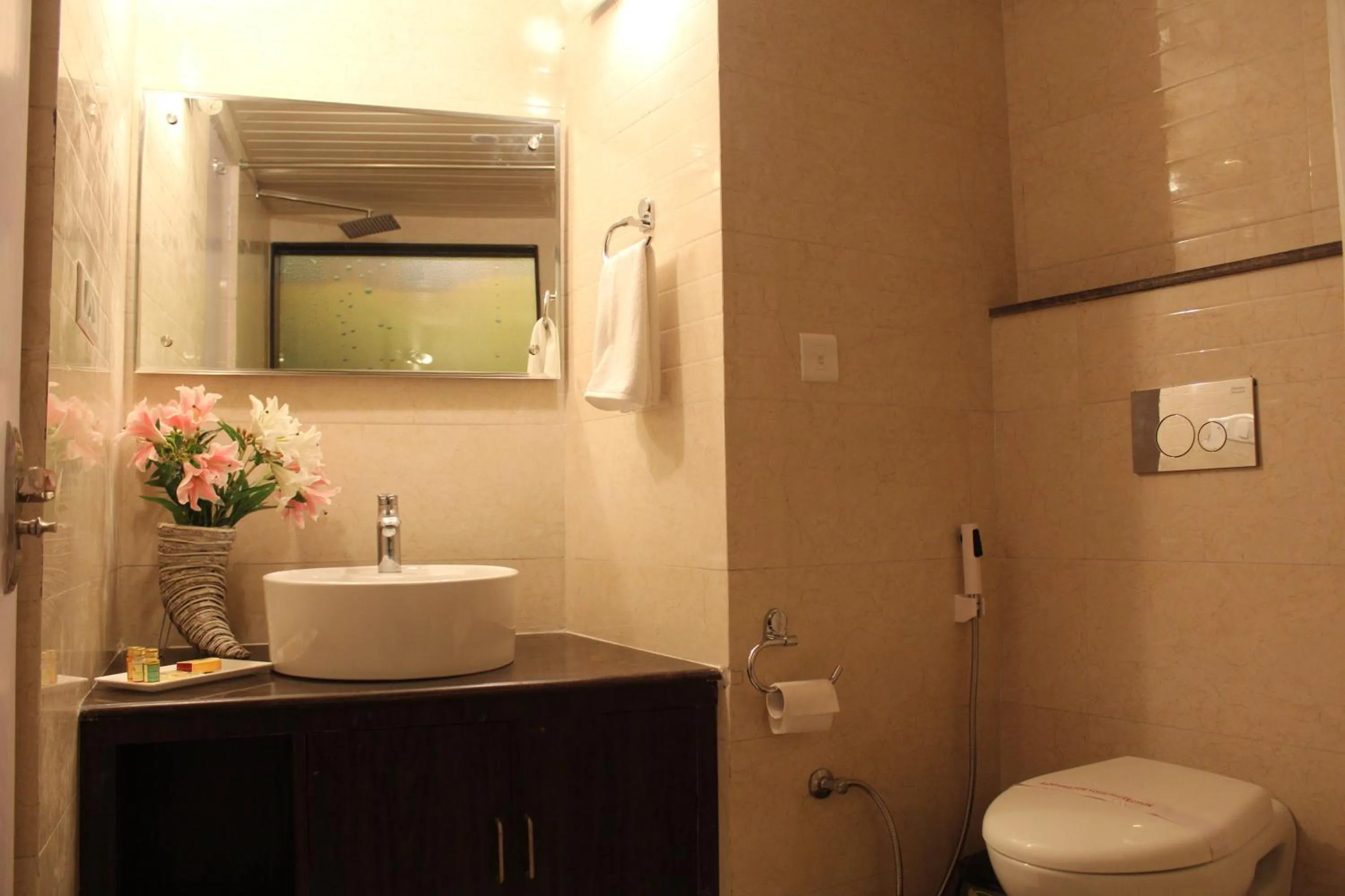 Bathroom in Kufri Pacific Resort