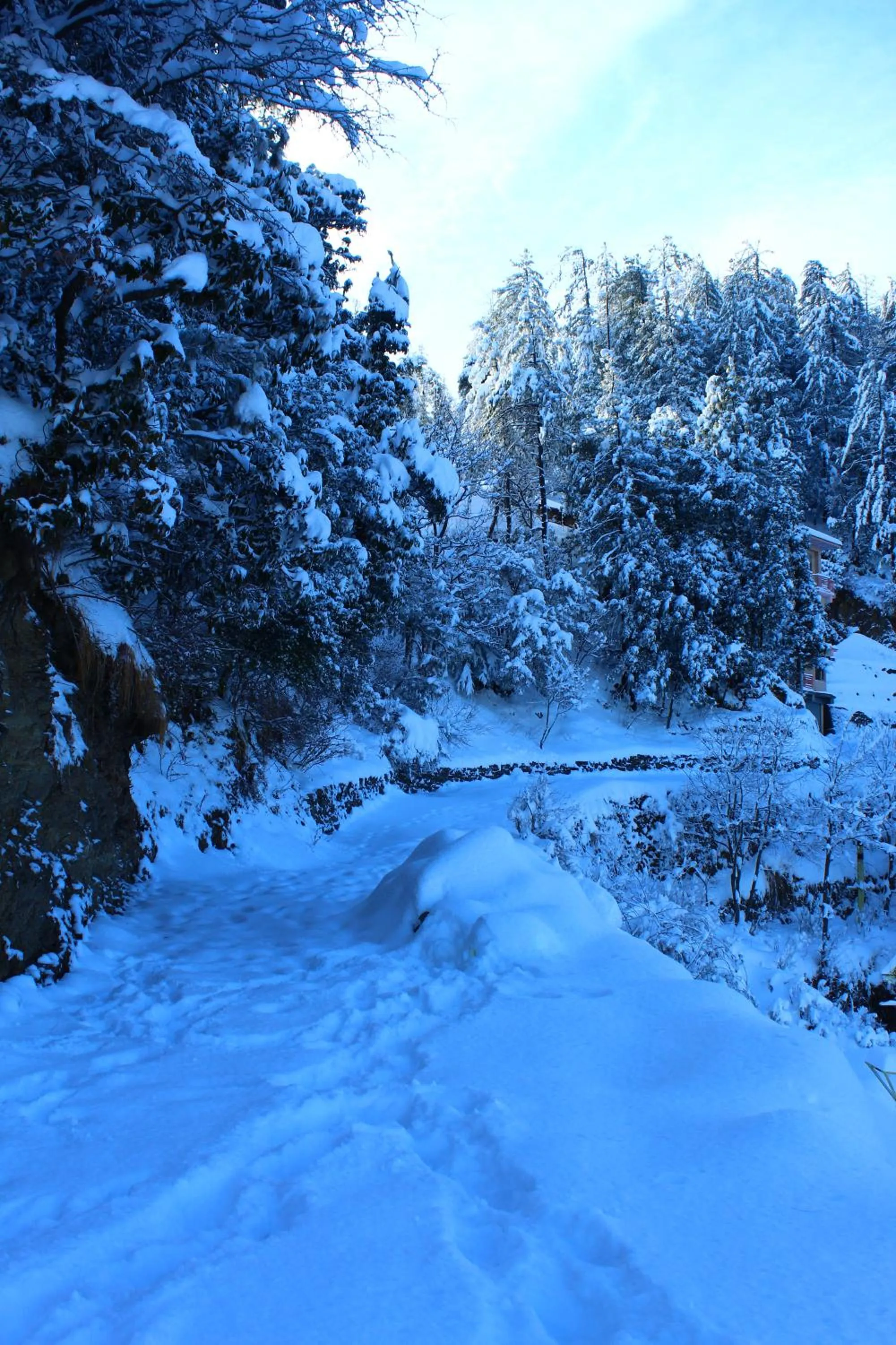 Natural landscape in Kufri Pacific Resort