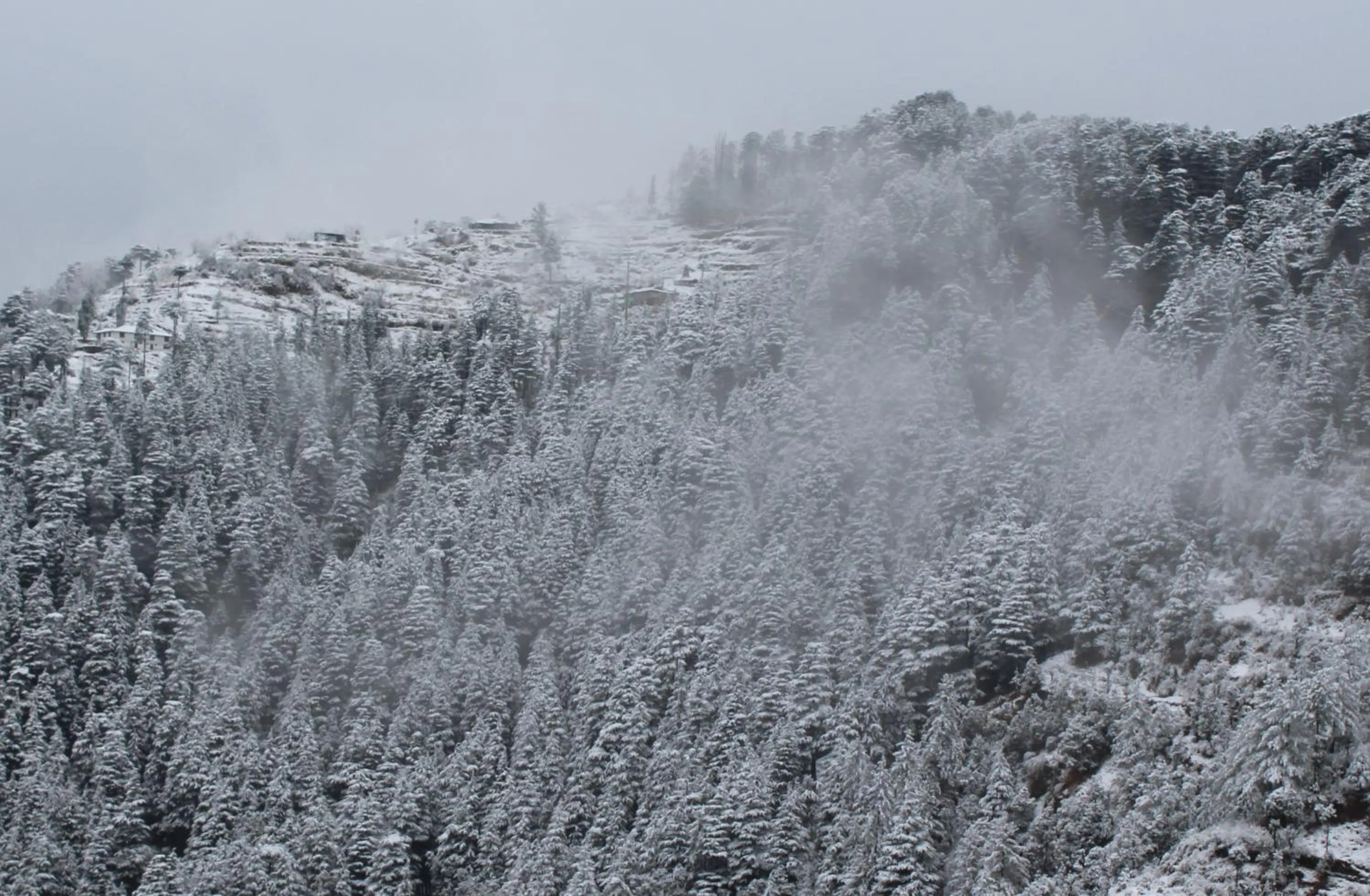 Property building in Kufri Pacific Resort