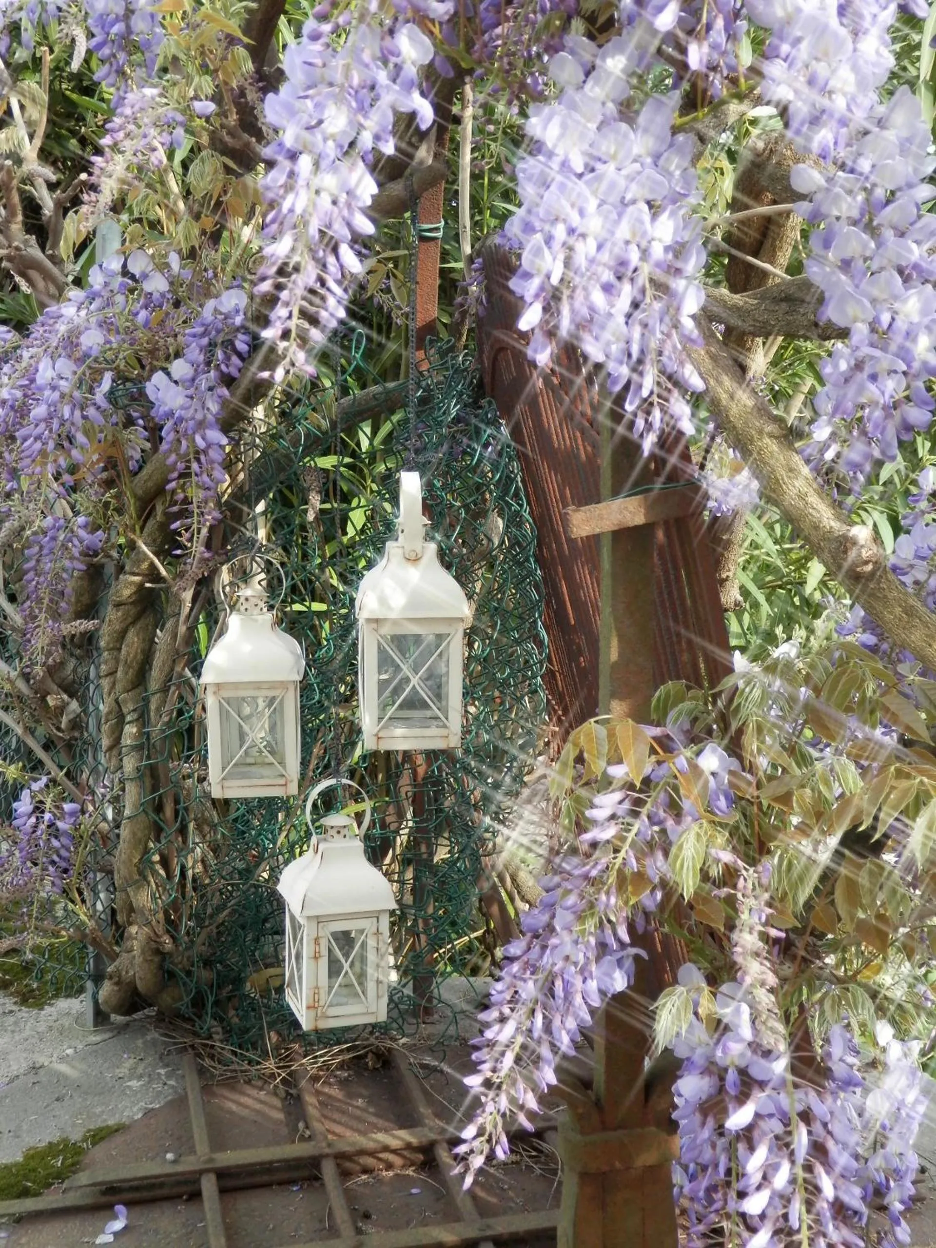 Spring in 15.92 Hotel