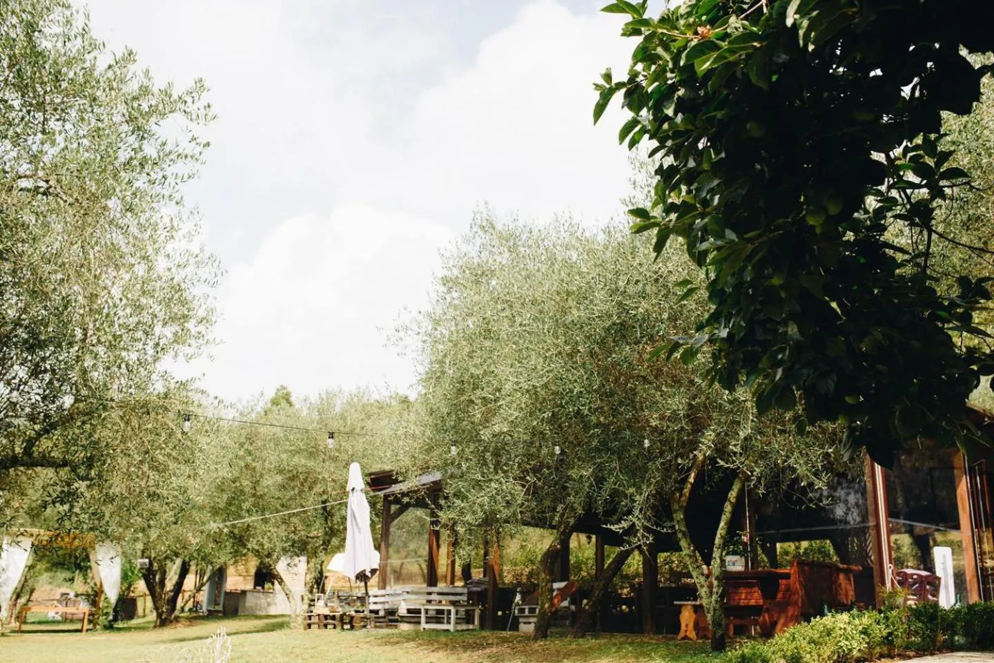 Garden in Un'Ottima Annata B&B