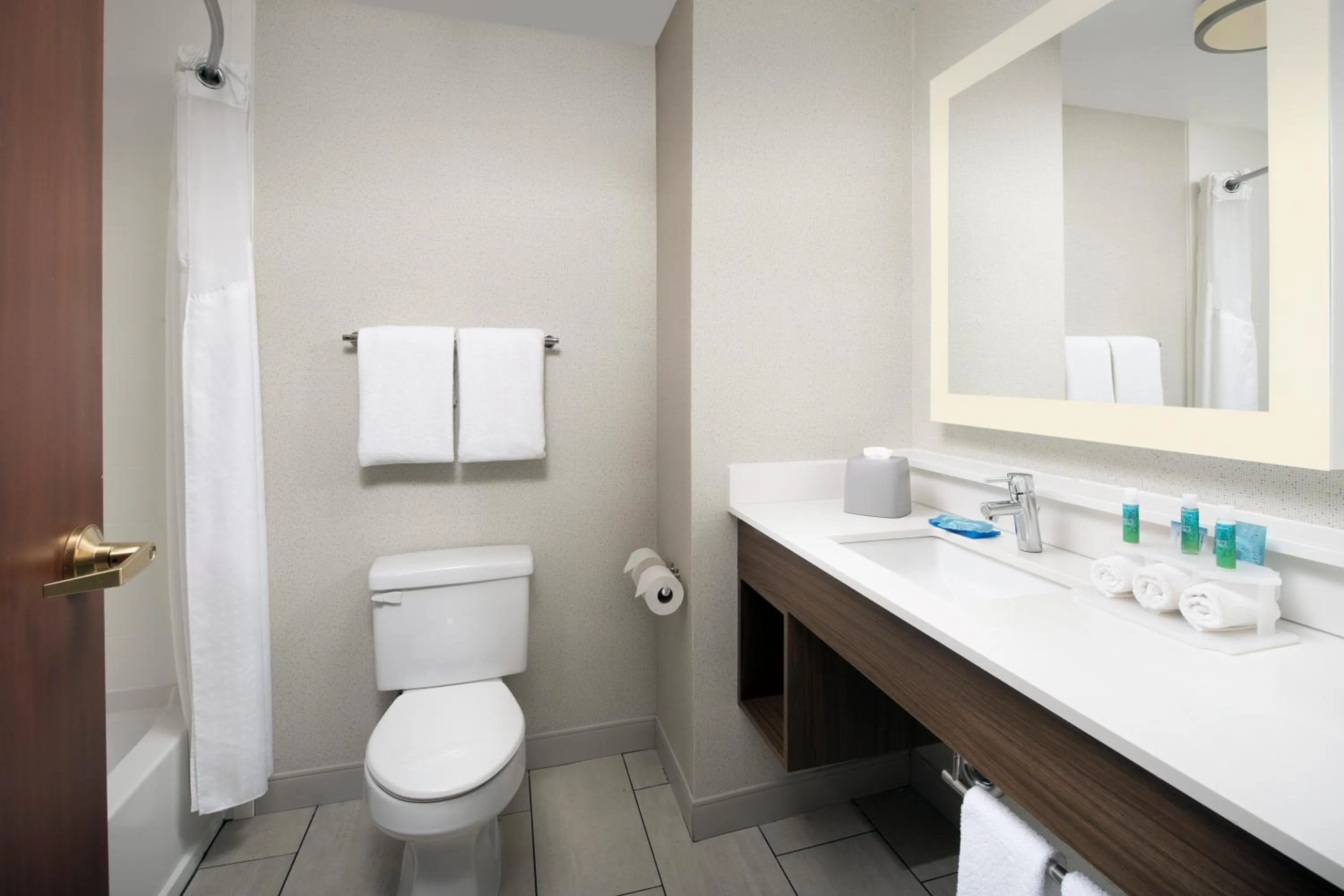 Bathroom in Holiday Inn Express Knoxville-Strawberry Plains by IHG