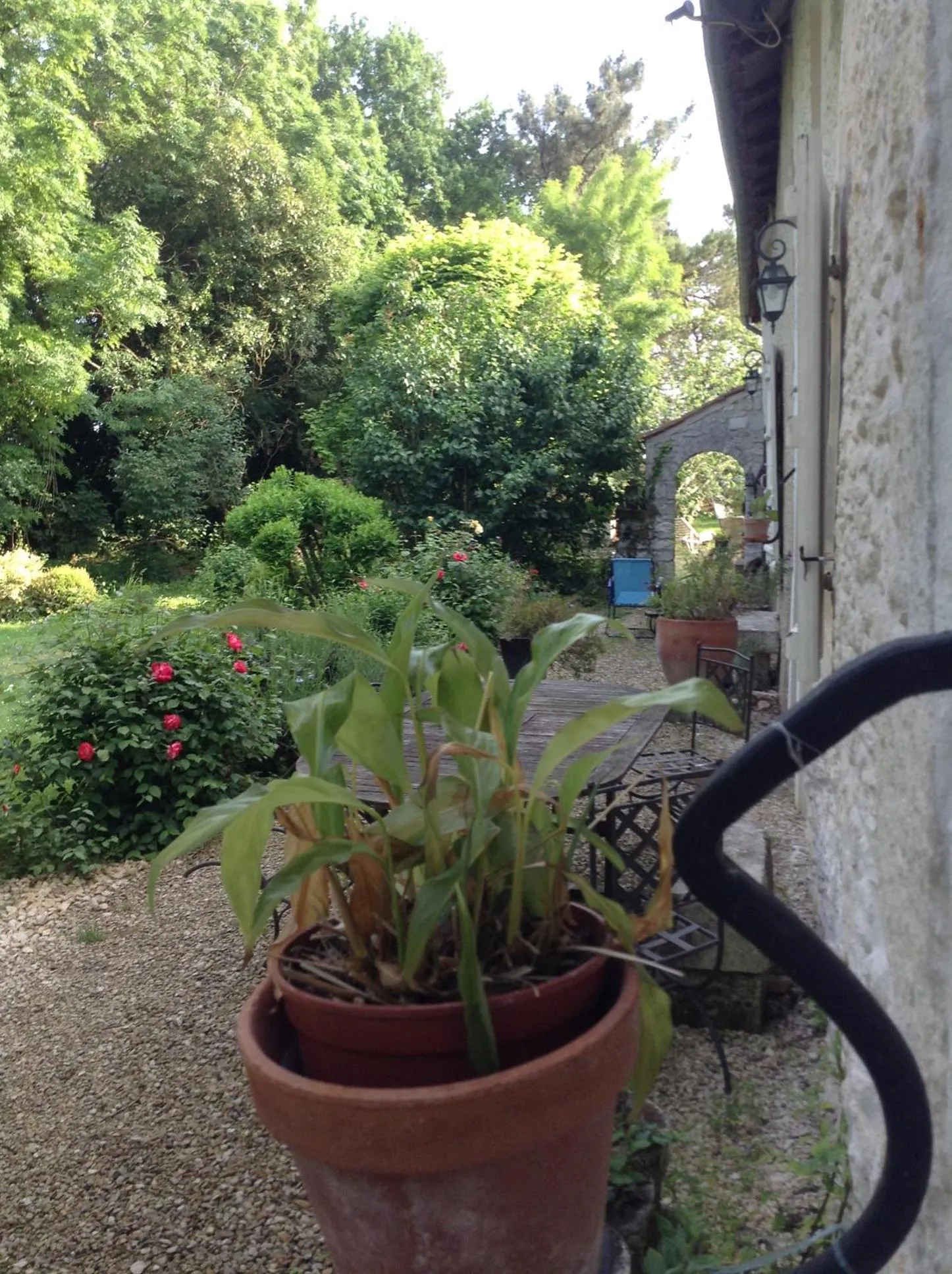 Garden in Gite du Calme 3 Star Bed & Breakfast Cognac