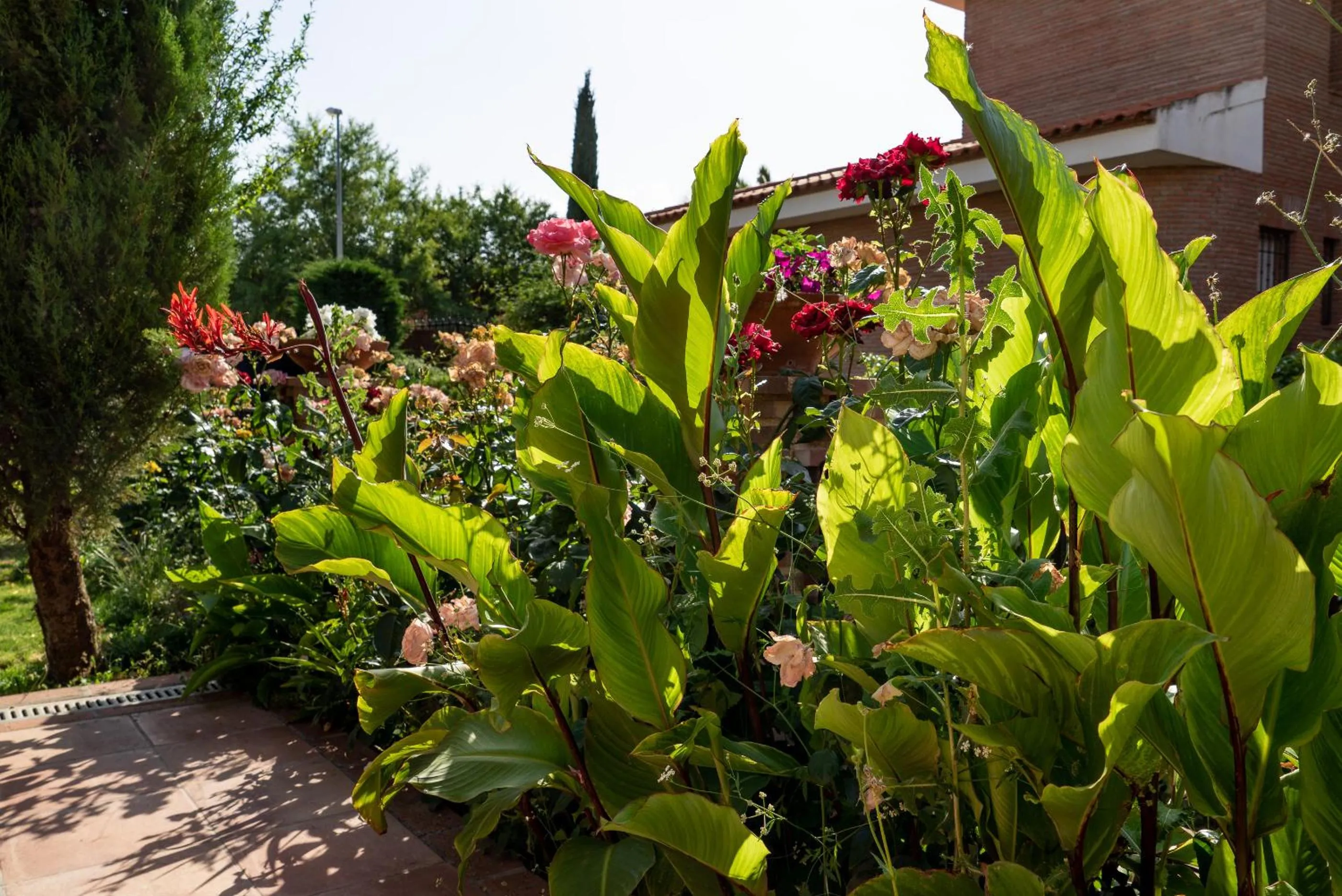 Garden in Villa Marín Toledo