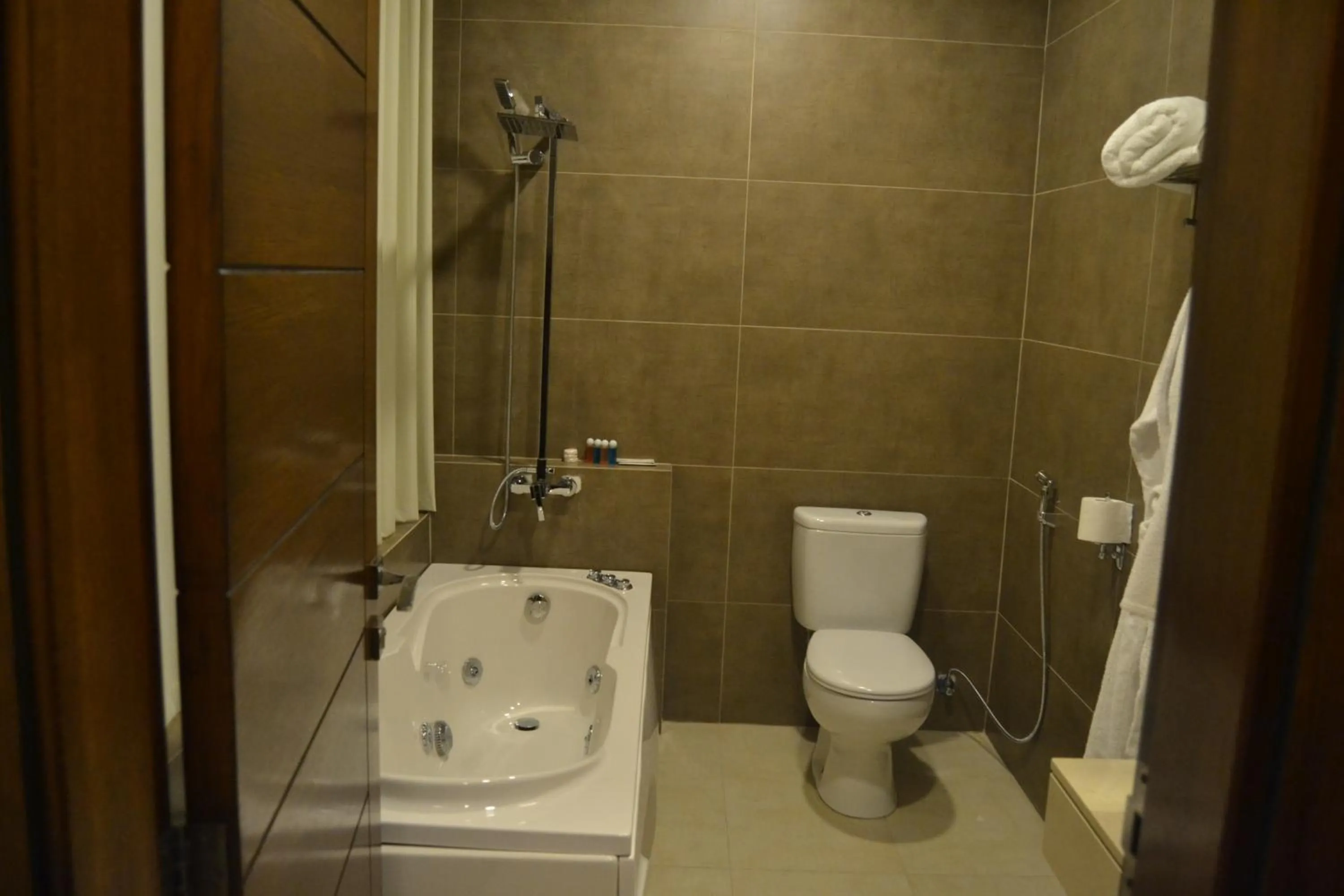 Toilet in Platinum Hotel