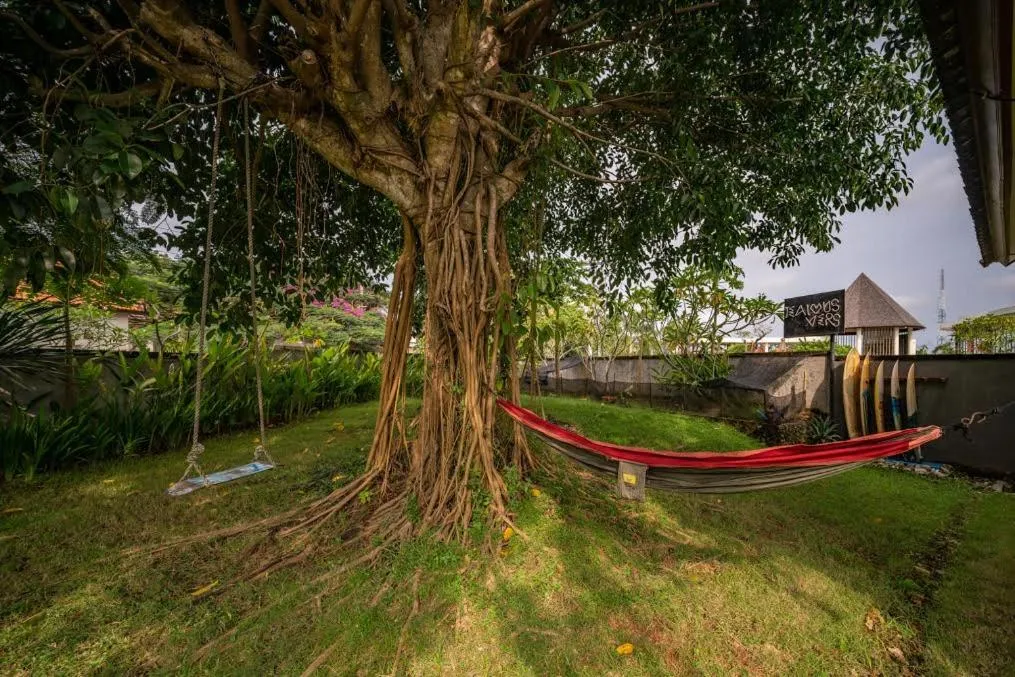 Garden in The Bali Boarding House