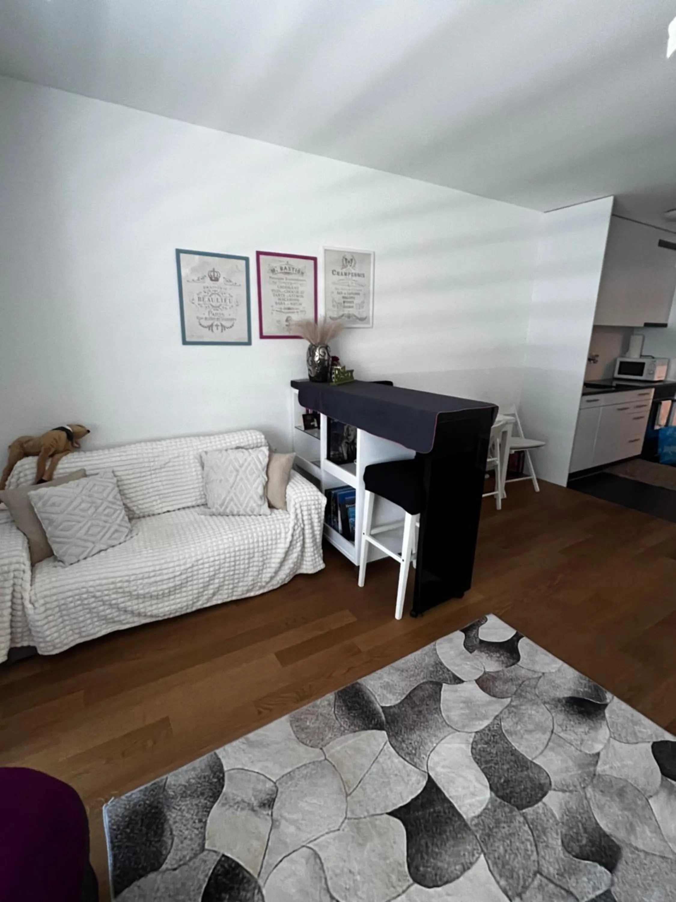 Apartments in Bern - Green Relax