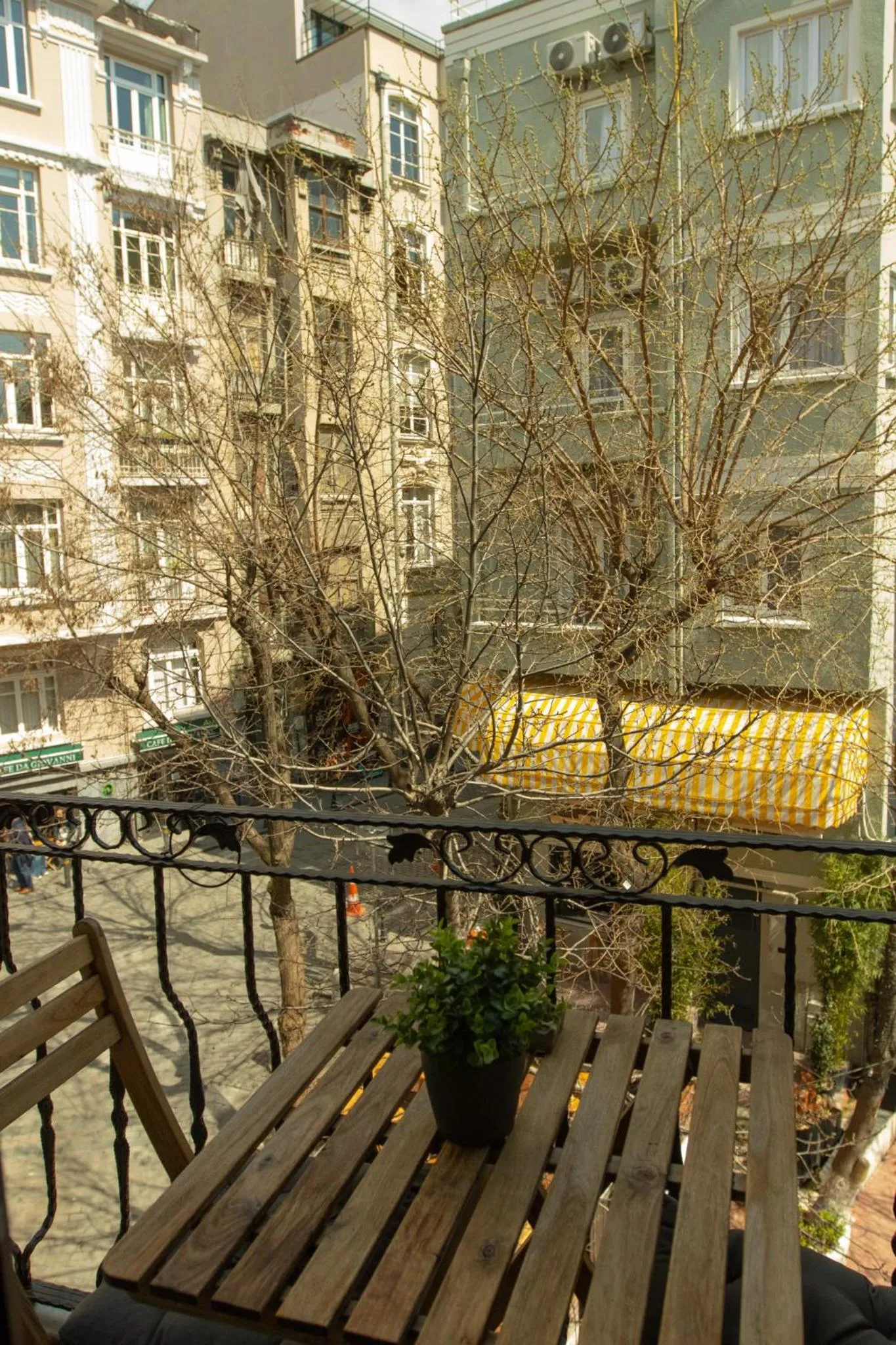 Spring in Louis Rooms