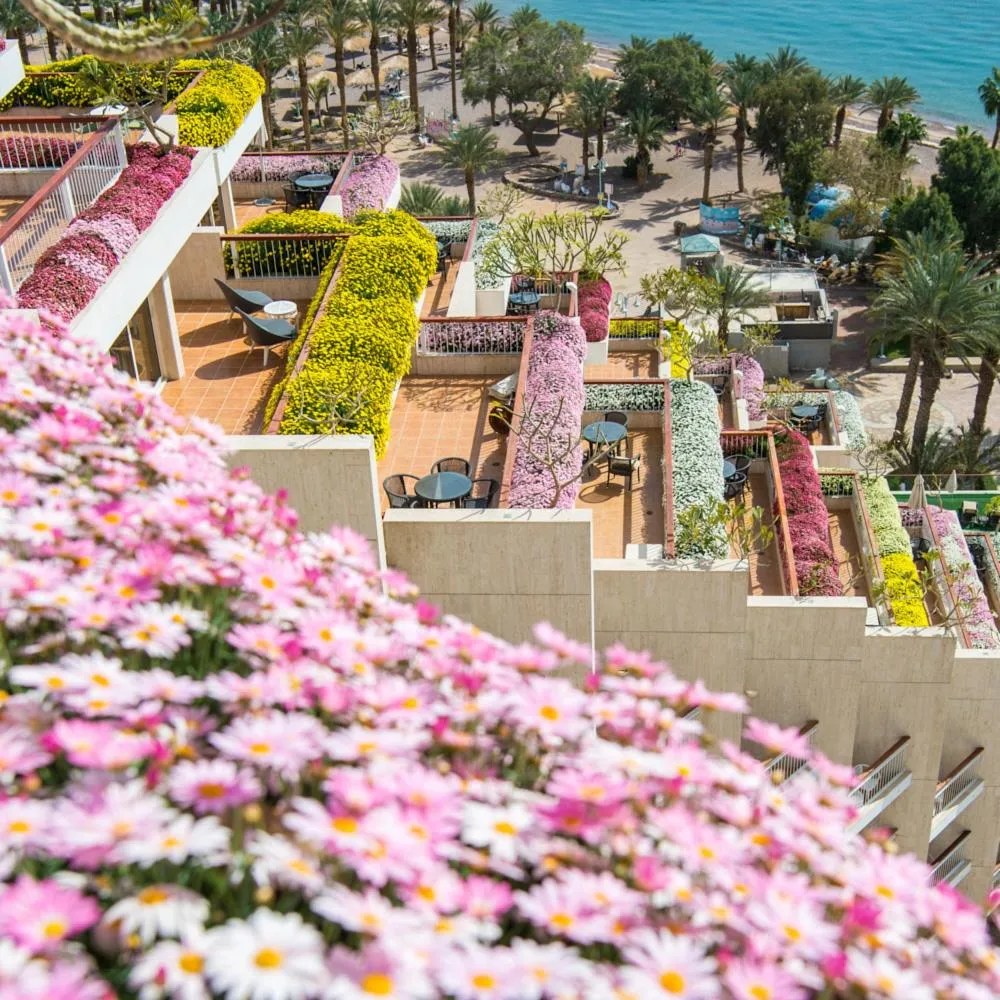 Dan Eilat Hotel